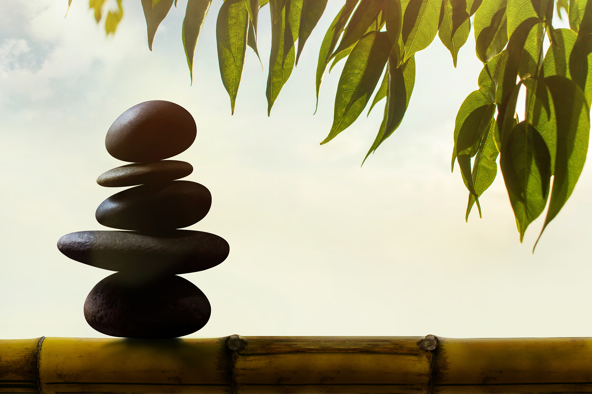 balance concept between of life and work present by natural zen 