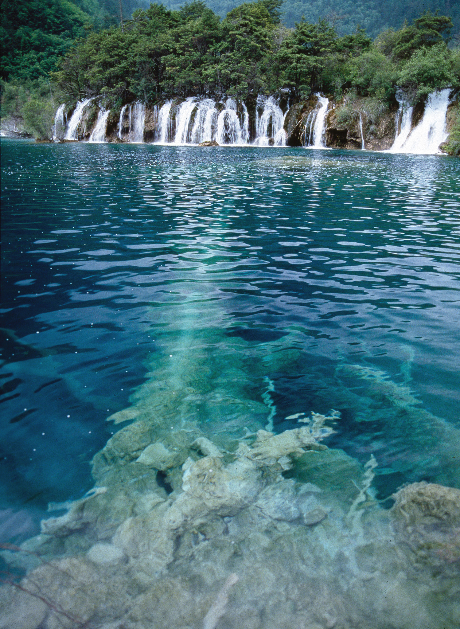 请用100字形容一下九寨沟的水