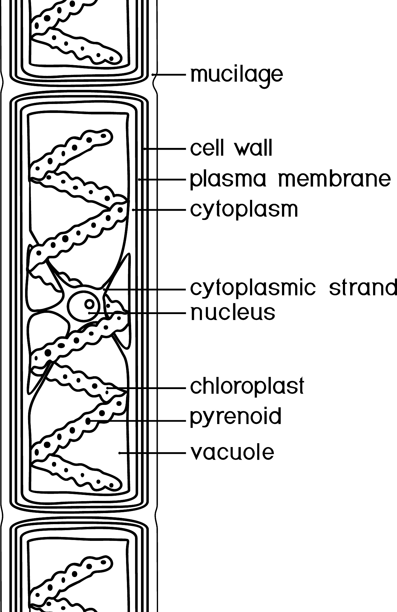 Help me rewrite the following sentence Kunz 84 processed a micro-pit hierarchical dotted structure on the silica surface
