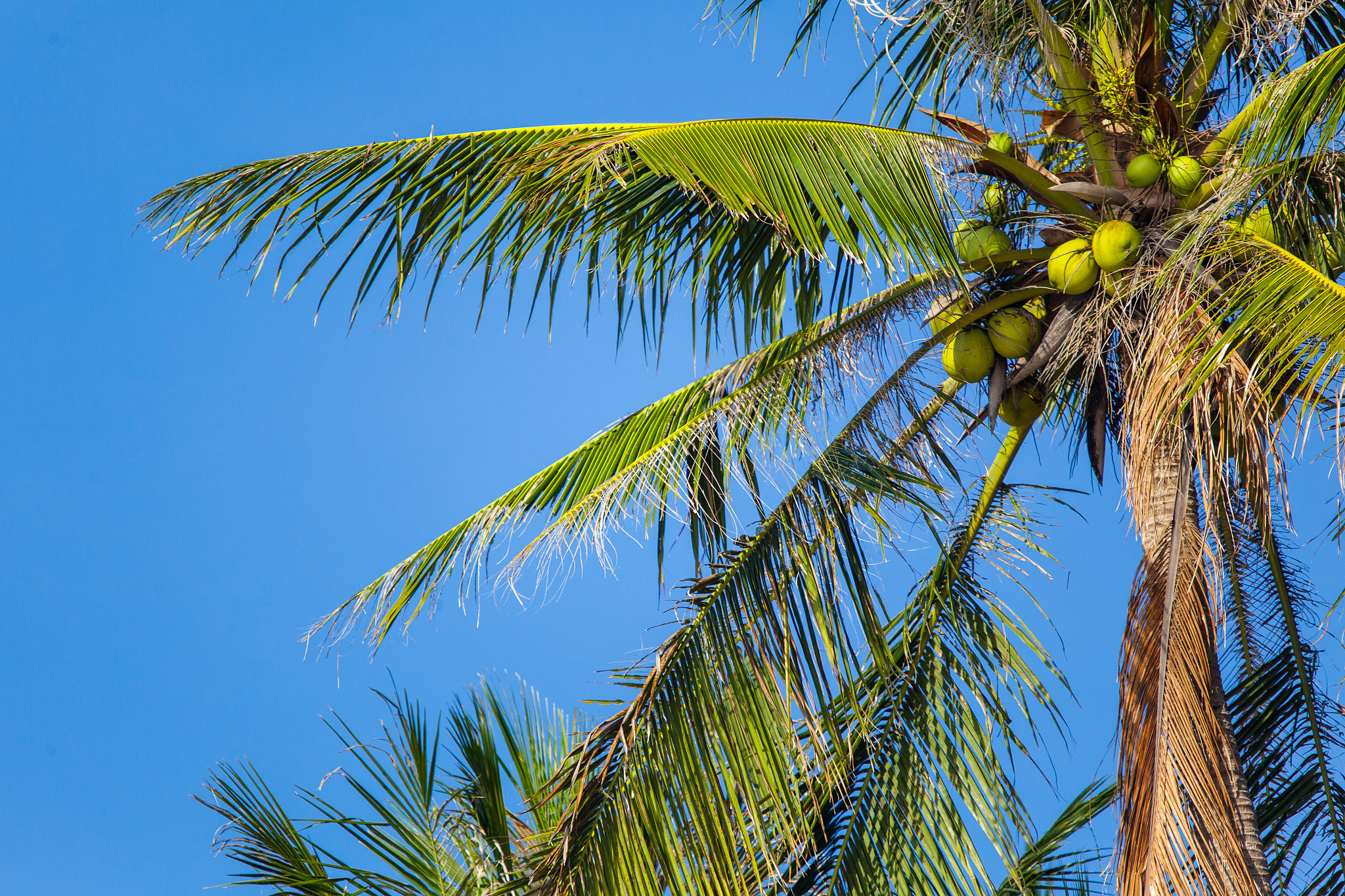 跨文化交际案例分析：椰子壳擦地揭示文化差异