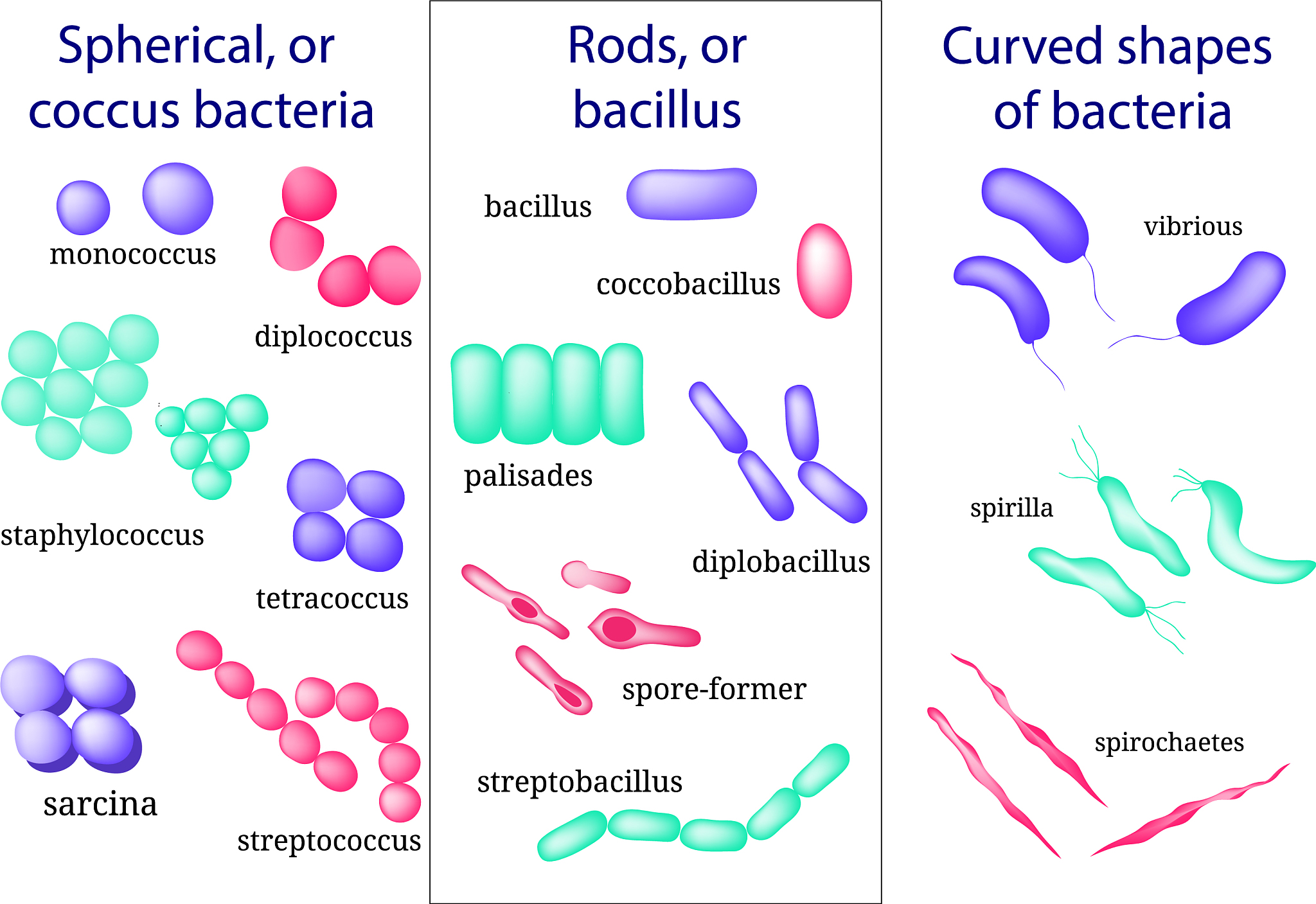 请把下列语句用不同的英文语句表示出来意思不变：在肿瘤微环境中糖基化修饰可以影响细胞周期调控从而使细胞增殖失控。此外糖基化修饰还可以影响细胞凋亡从而保护肿瘤细胞免受死亡的侵袭。