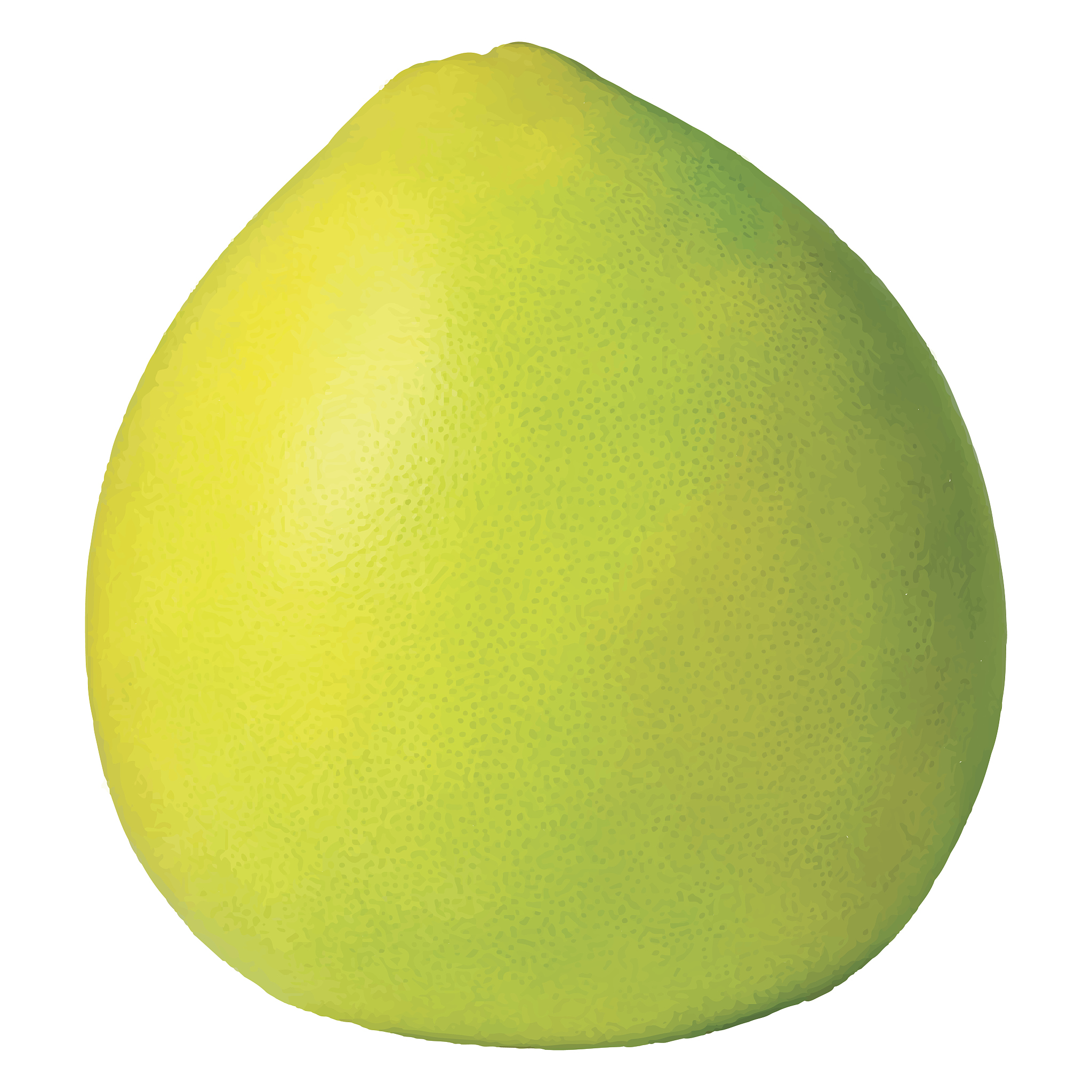 四川省达州中医学校营养与保健专业招生