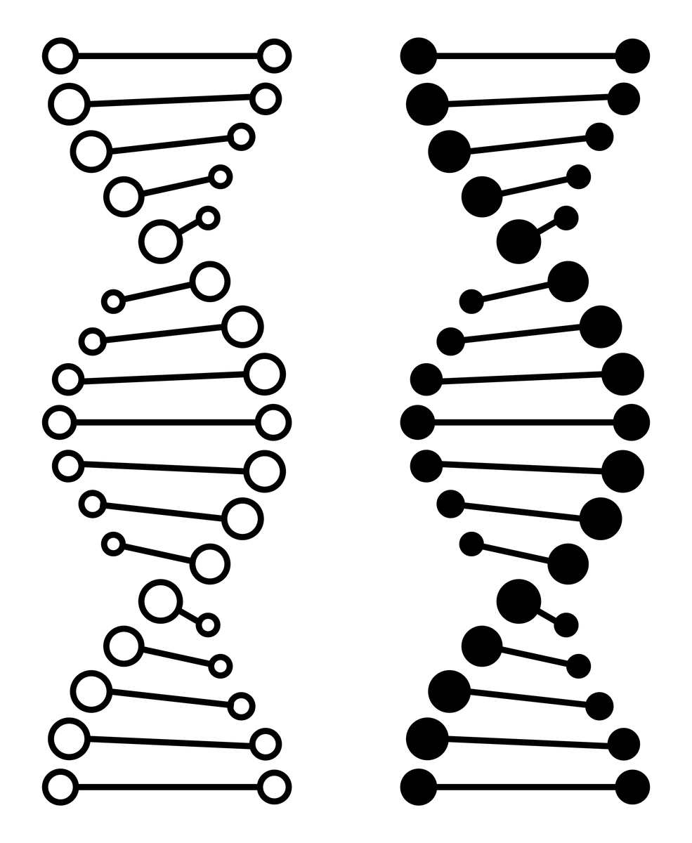 DNA 粘性末端：为何比平齐末端更容易连接？