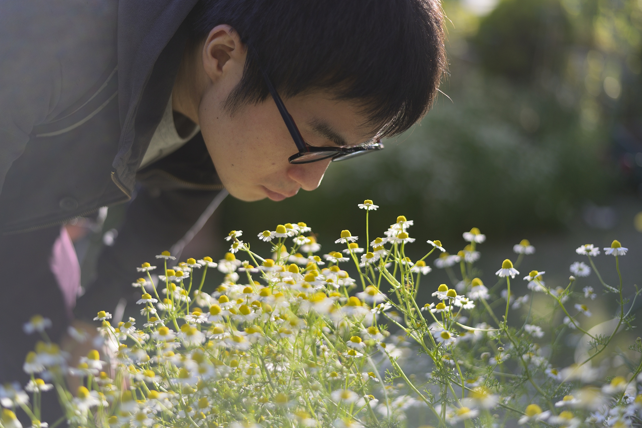 牛油果甘菊洗发露：头发更顺滑？