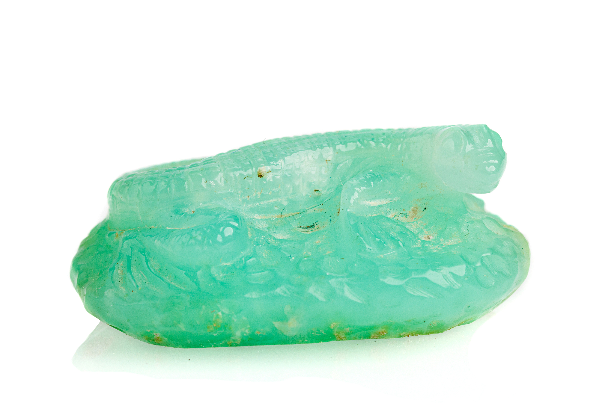 macro stone mineral lizard from chrysoprase on a white backgroun