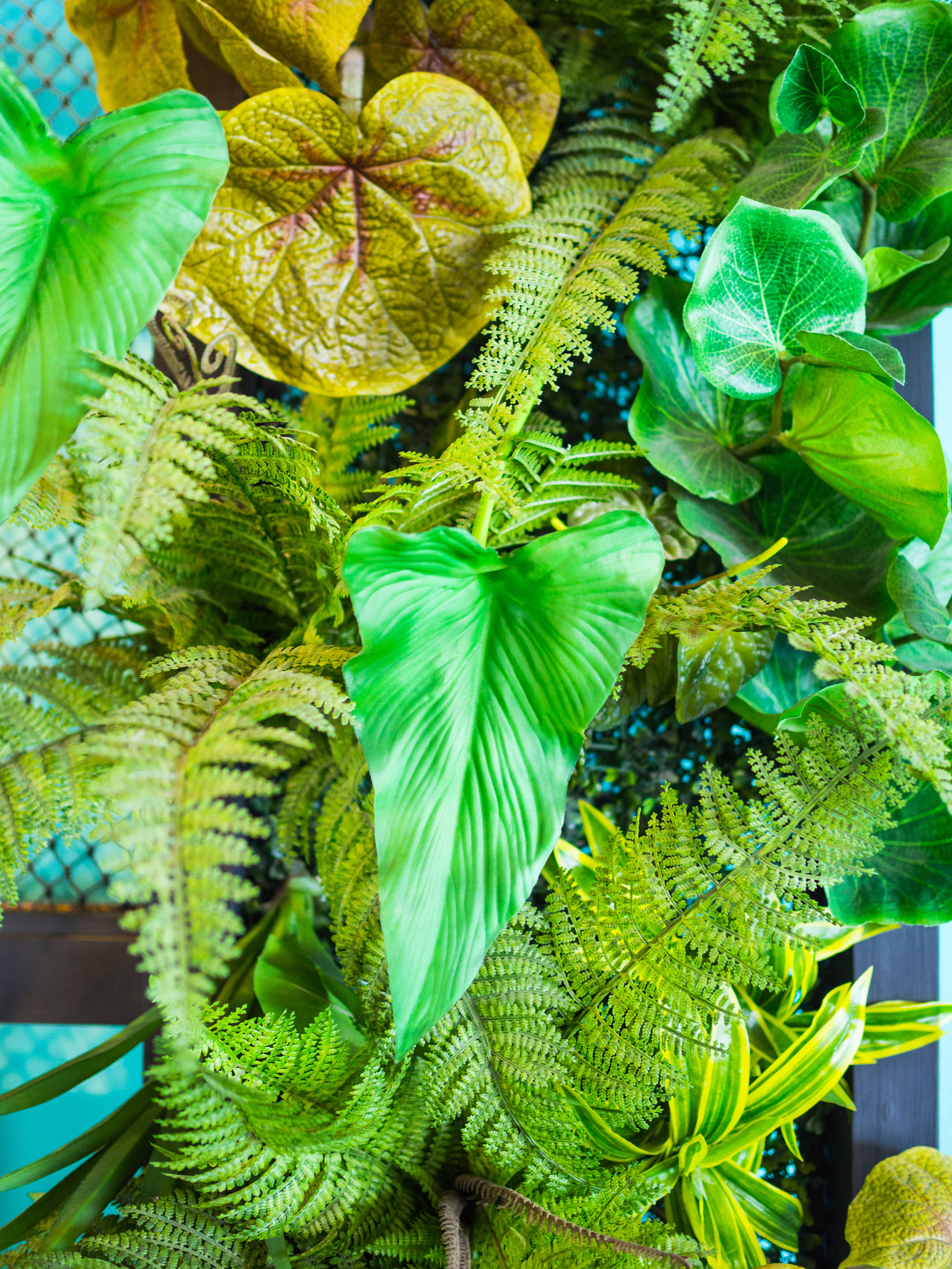 fern decoration background, nature concept background