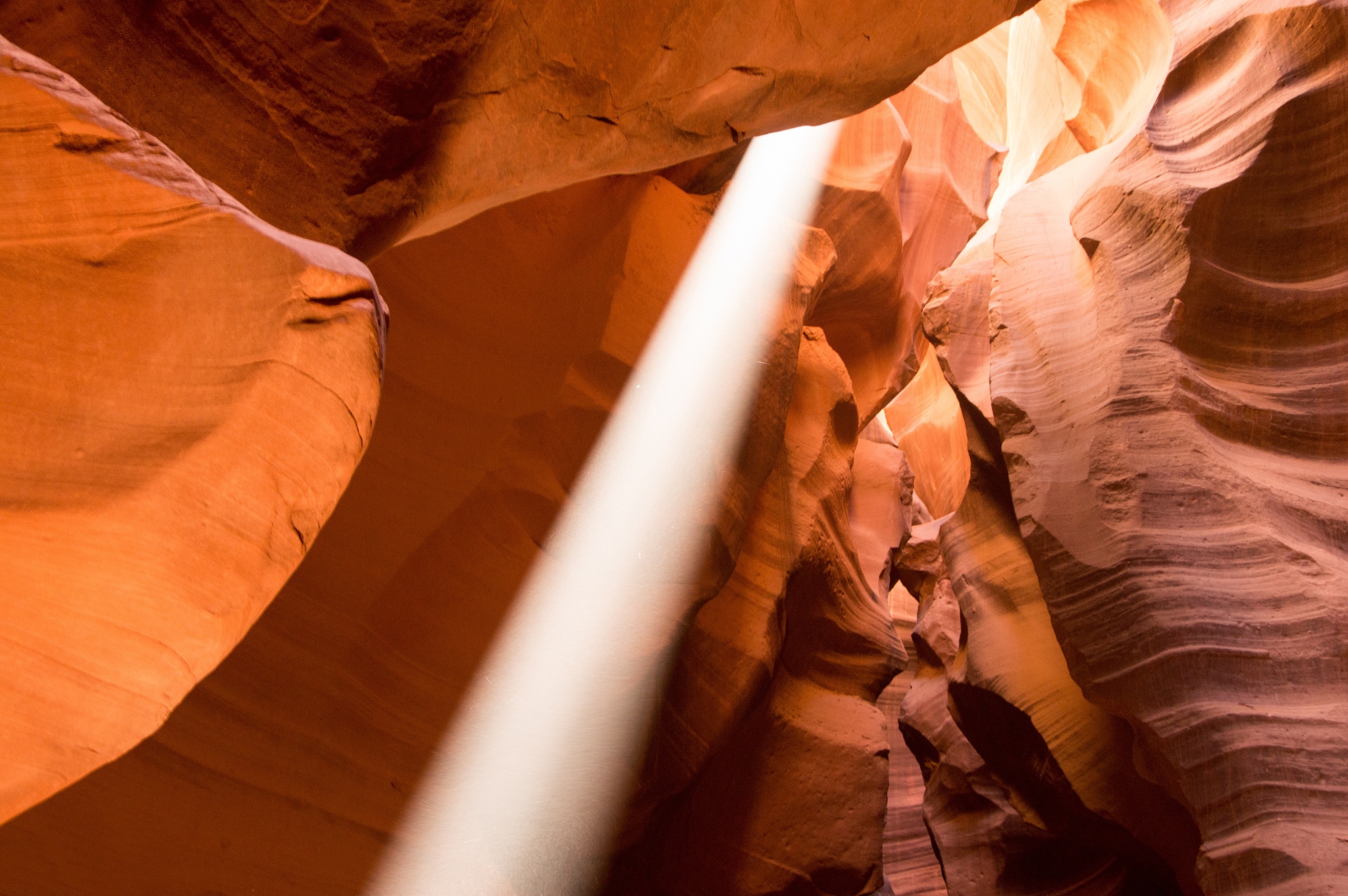 张雪峰直播：学史地政，也能玩转理科！4个专业让你未来可期！