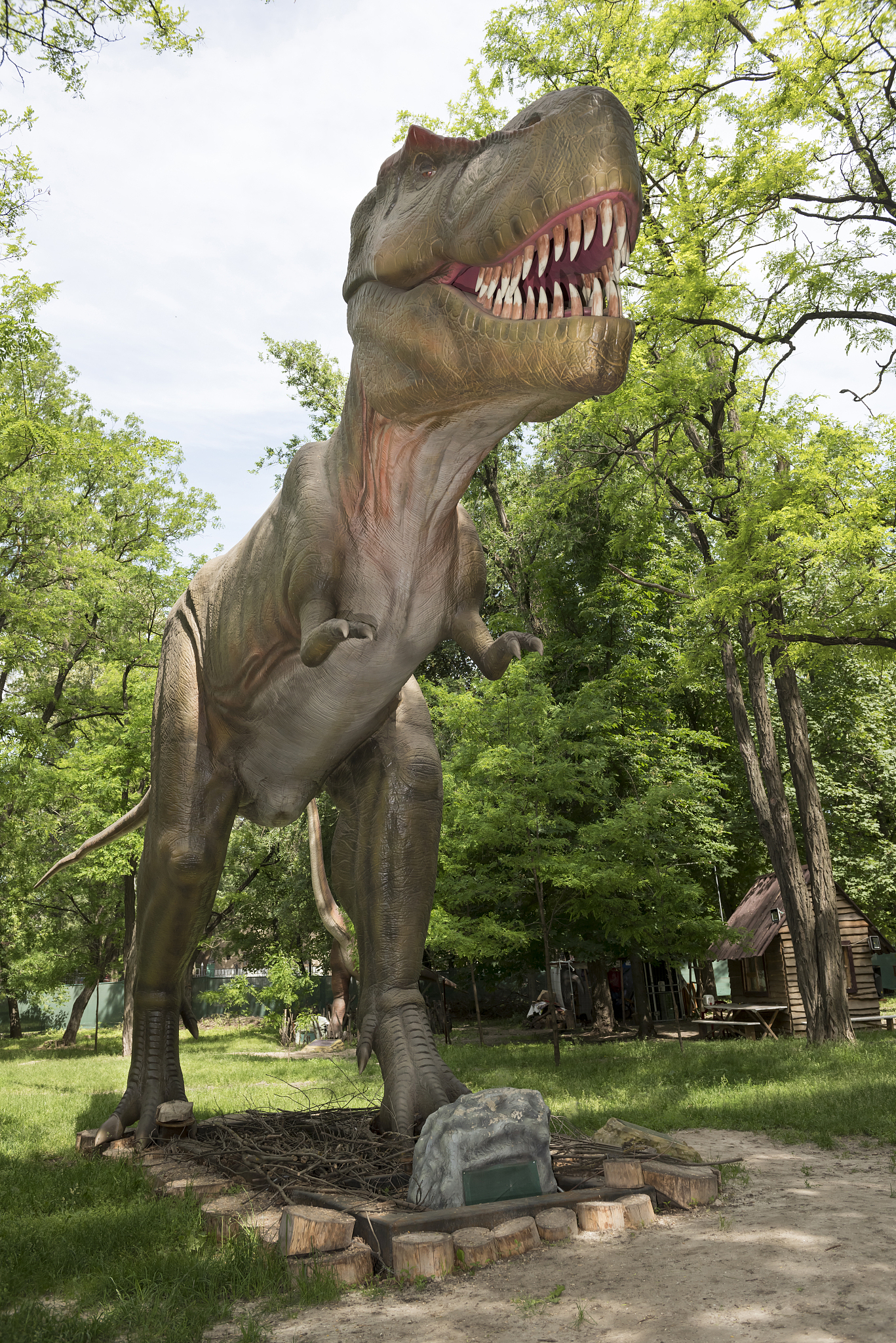 Art museumAudio tourBritish museumCaptionDinosaurDinosaur modelEducationalEducational psychologyExhibition opening timeExplainExplain toFossilFossil fuelGround mapHistoricHistoric siteHistoric houseHi