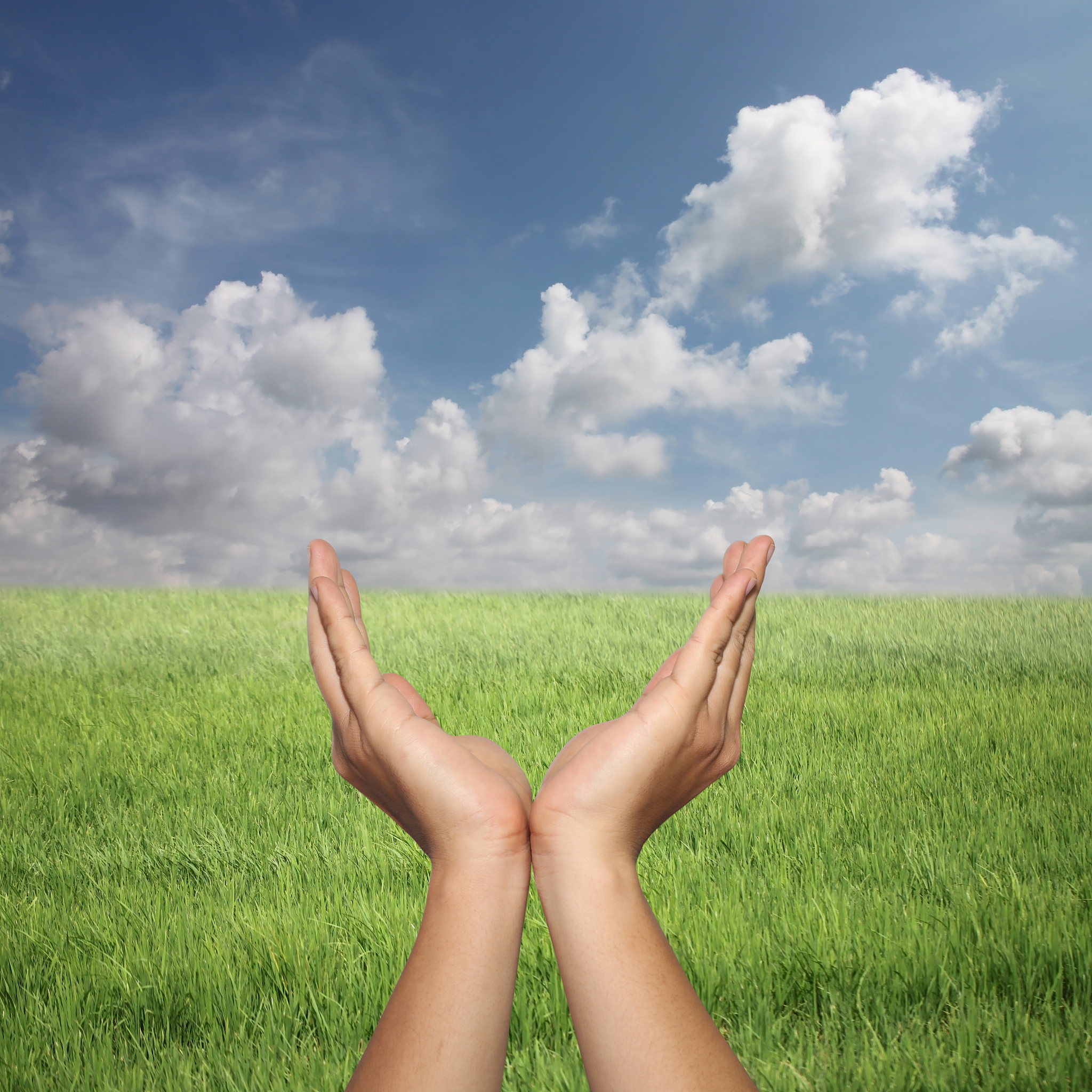 cropped hands of person against sky
