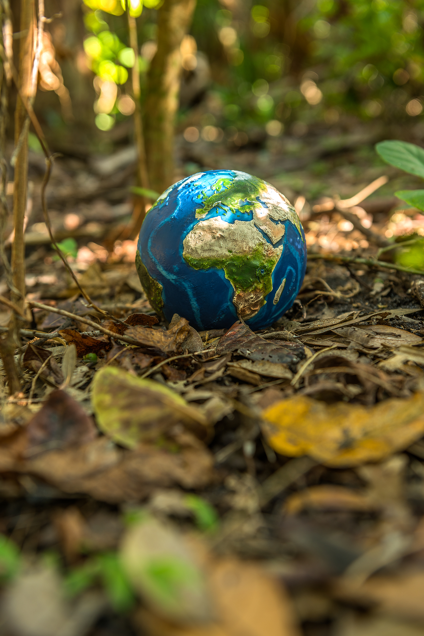 绿色 你认为人类生存和发展面临哪些问题