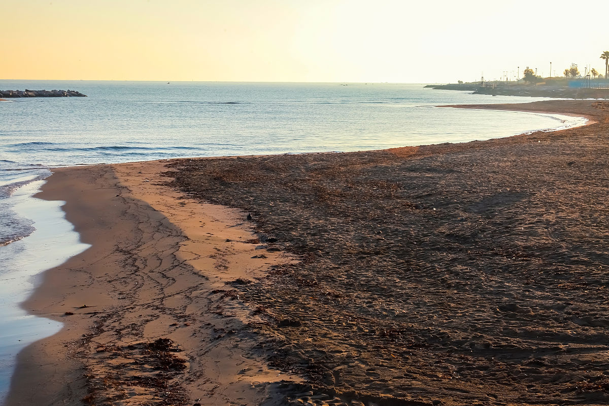大连艺术学院应用意大利语专业怎么样