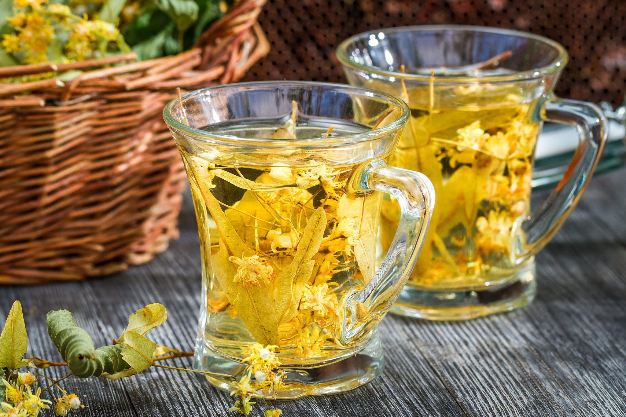 江西省婺源茶叶学校招生简章-怎么样