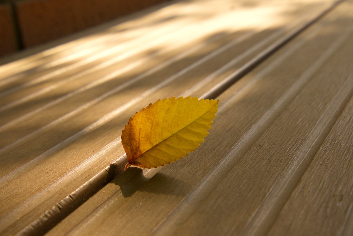 天凉未必秋心寒方觉冷：解读这句话的深层含义