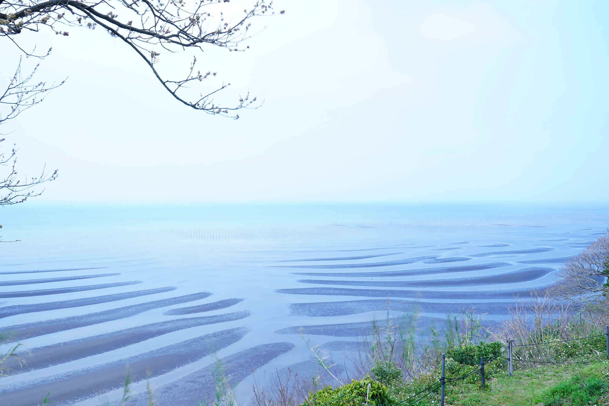 海水入侵调查工作周报