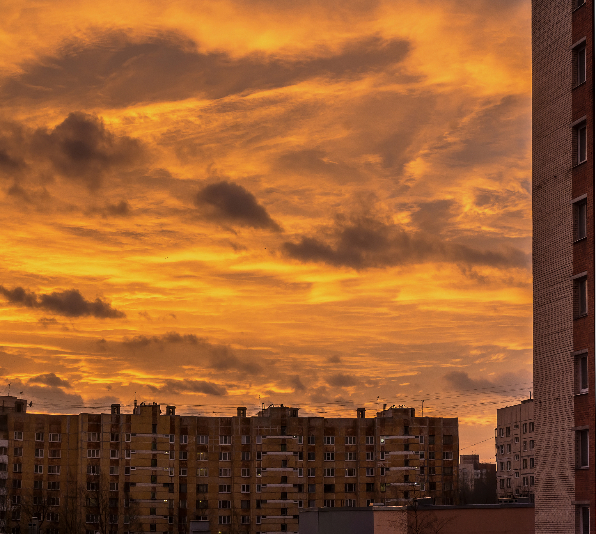 请写10条用户跟评：高温橙色预警 河北河南等地部分地区可达40℃或以上