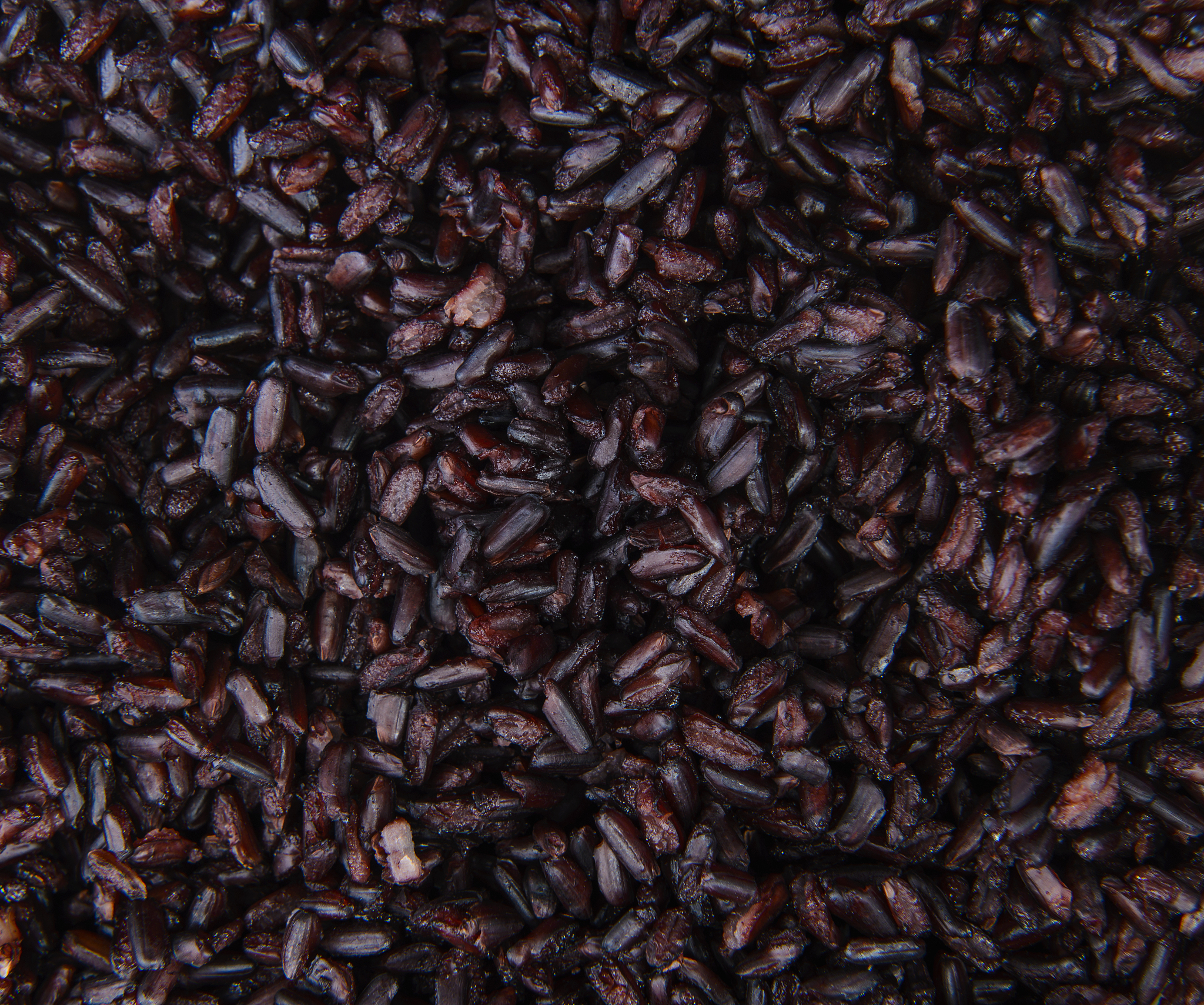 黑米生虫怎么办？5个小妙招轻松搞定！