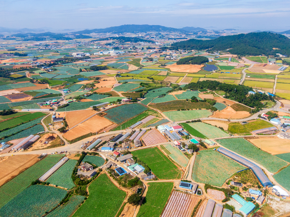 楚雄州牟定县高标准农田改造标准详解 - 提升农业效益，改善农民生活