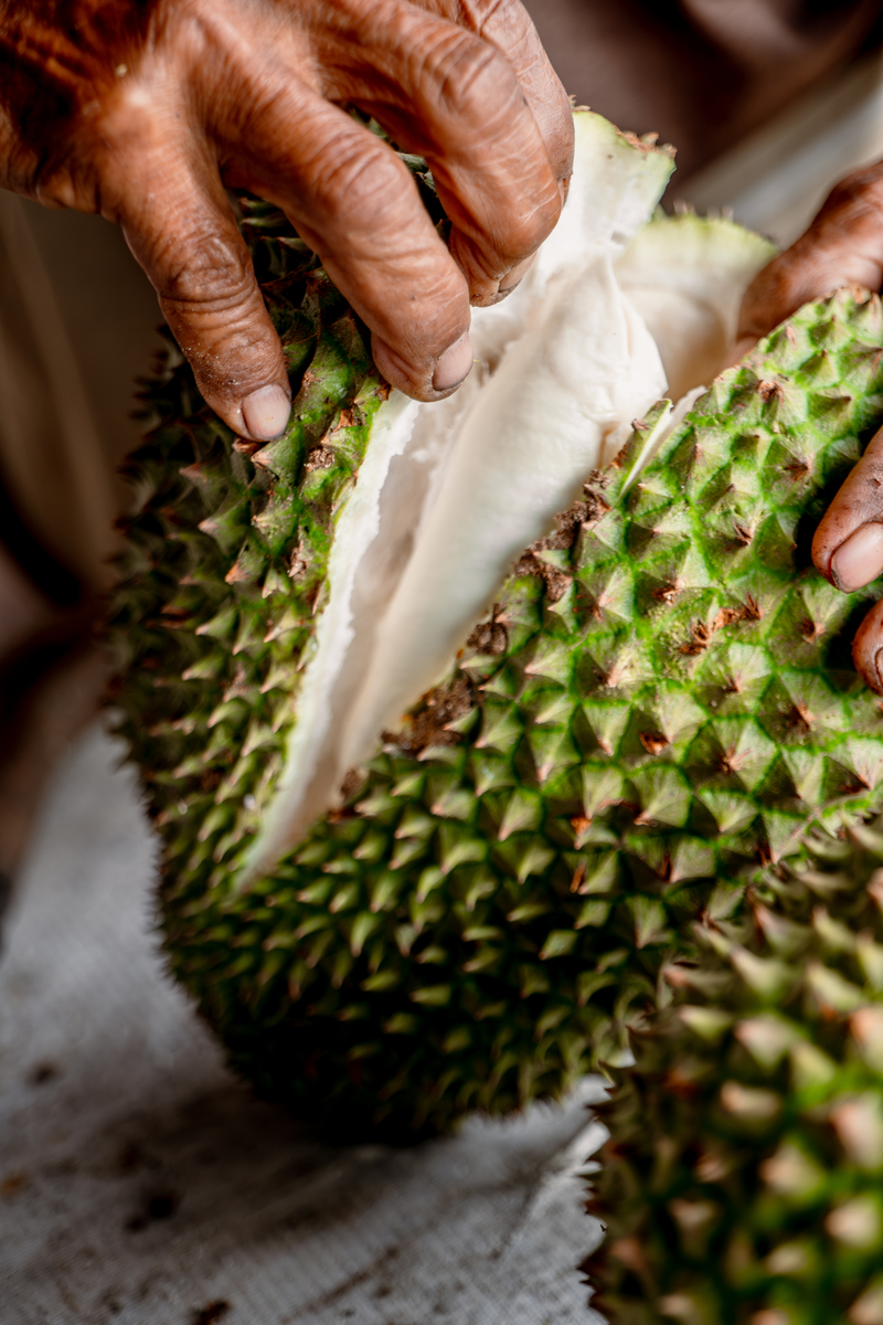 请帮我写1篇600字博客文章主题是：榴莲怎么吃