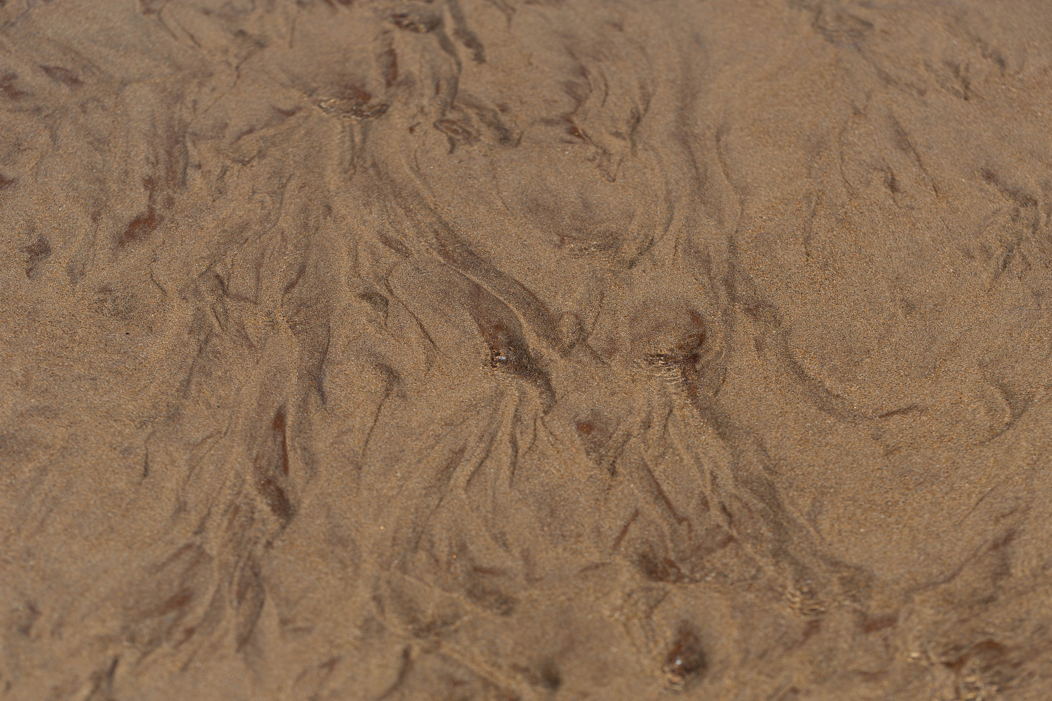 yellow sand background