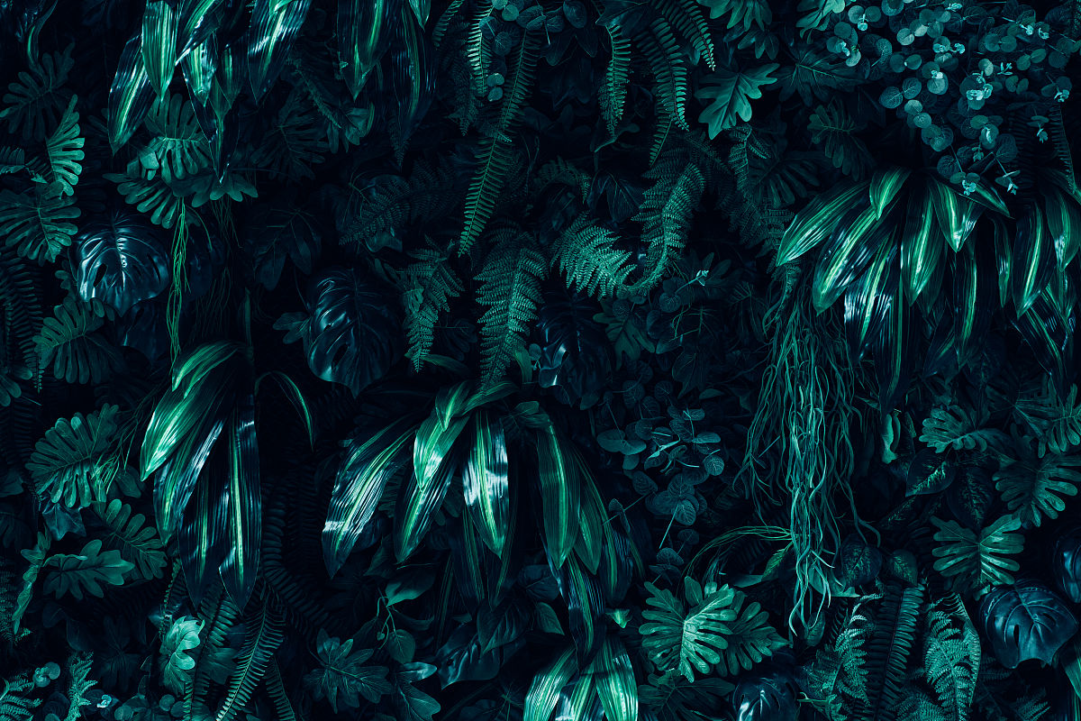 贵阳幼师学校五年制大专教学课程内容