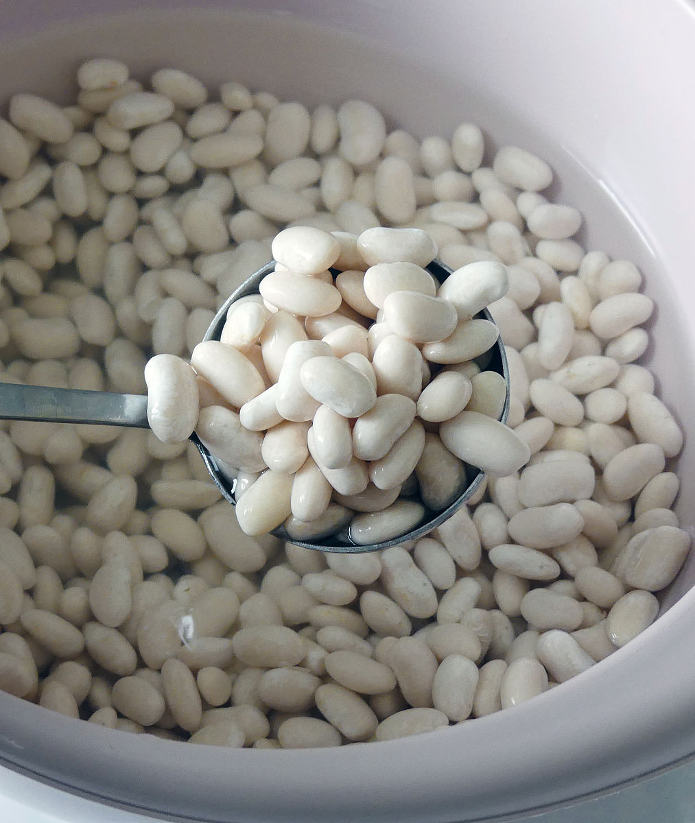 辽宁中医药大学中药学专业怎么样