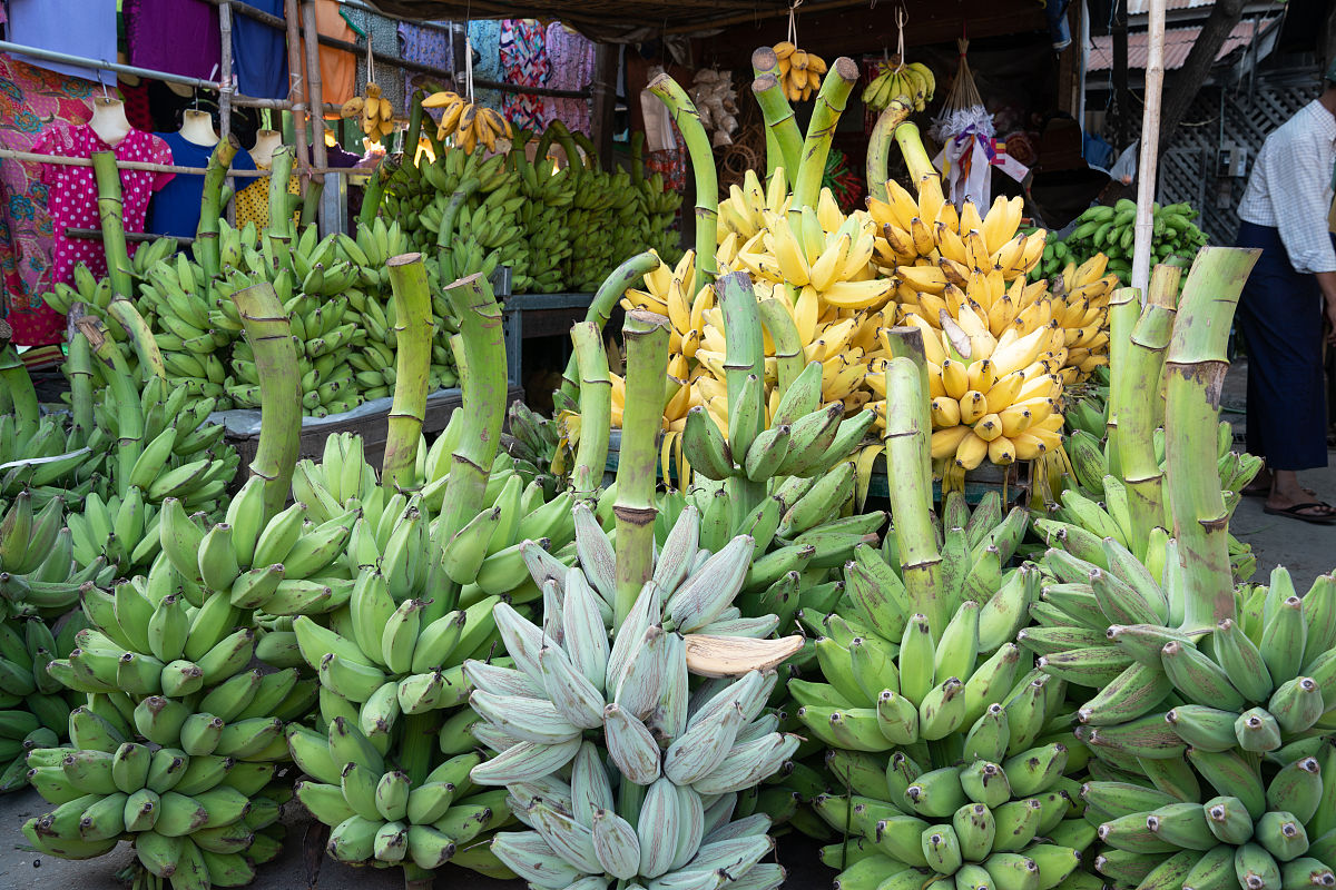 乡下学生的国庆节日记：简单而美好的生活