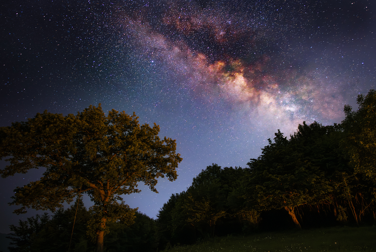 赞美夜景的优美句子，让你写出动人的文字！