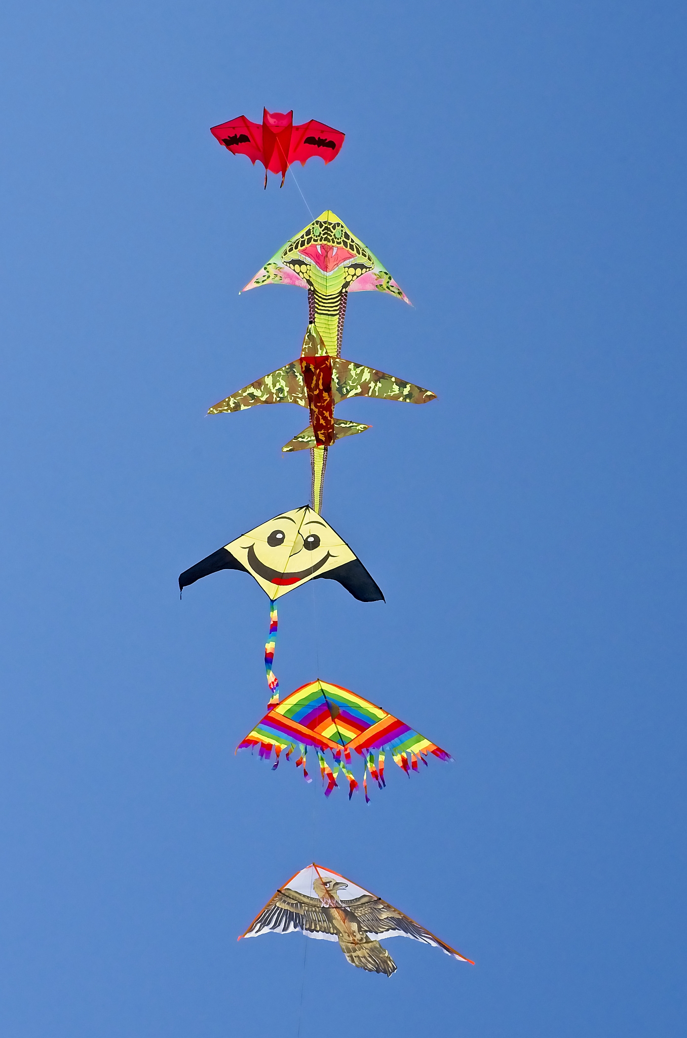 colorful kites on a sunny summer evening at the beach