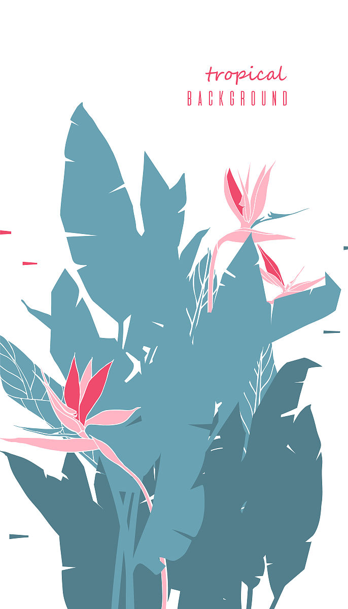 21乘以23的竖式计算方法详解