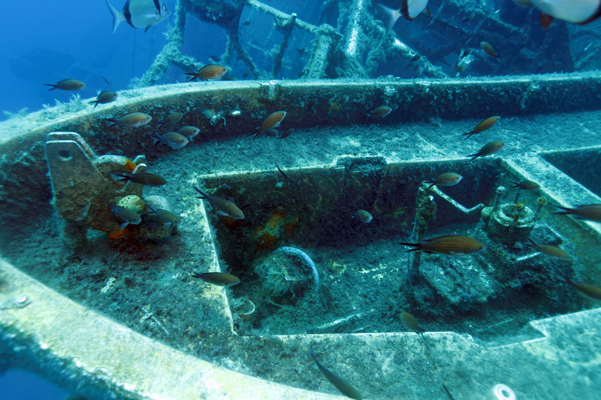 zenobia ship wreck near paphos