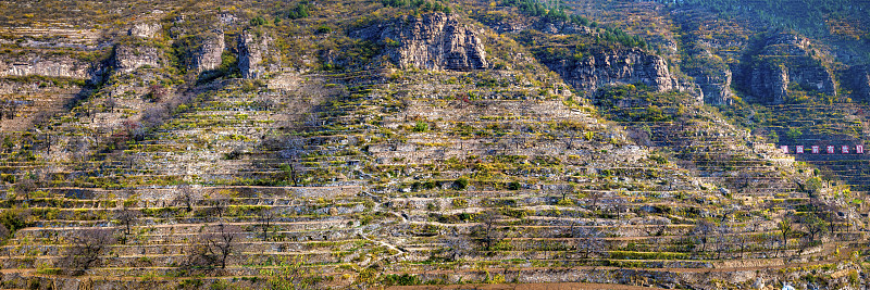 邯郸2023年哪个卫校就业最好怎么样