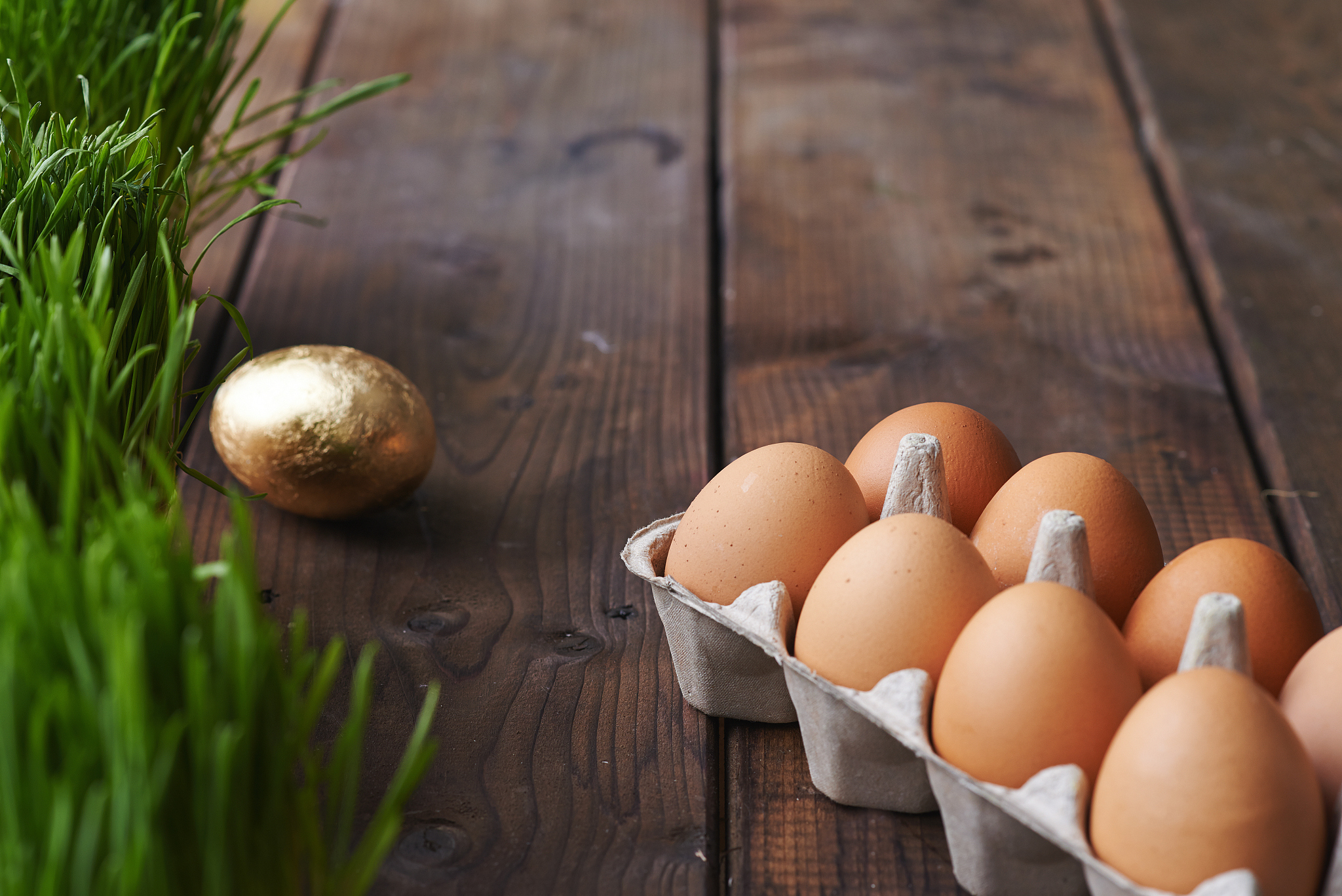 different eggs