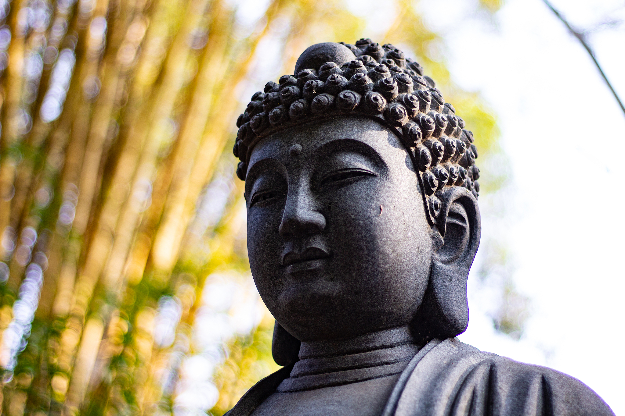郑州技师学院力科分院汽车维修与营销服务(1+1)专业怎么样？前景、招生条件、就业方向