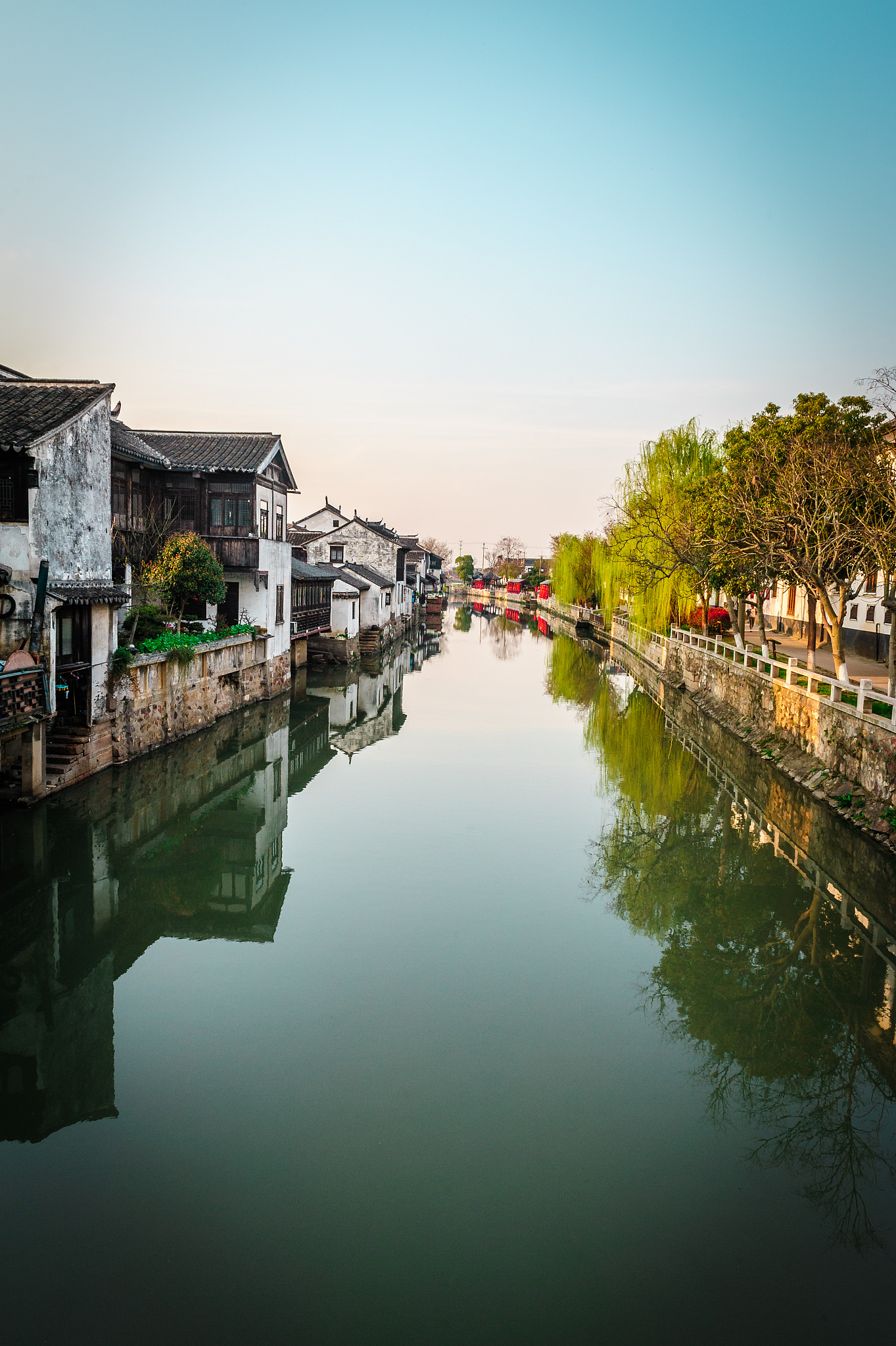 "凤凰"掠影