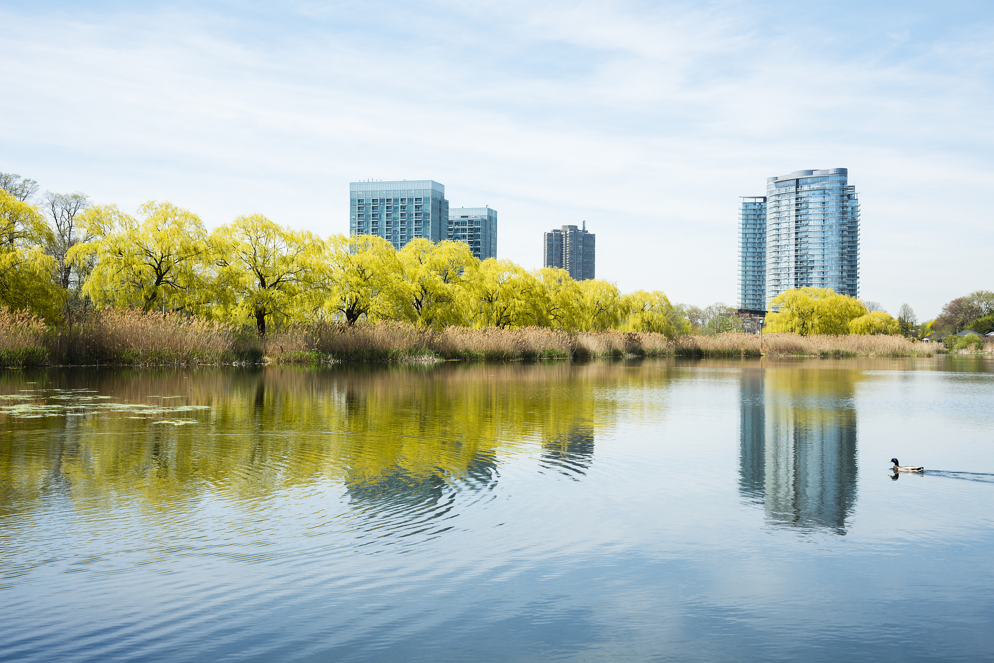 城市公园景观评价国内相关研究历程