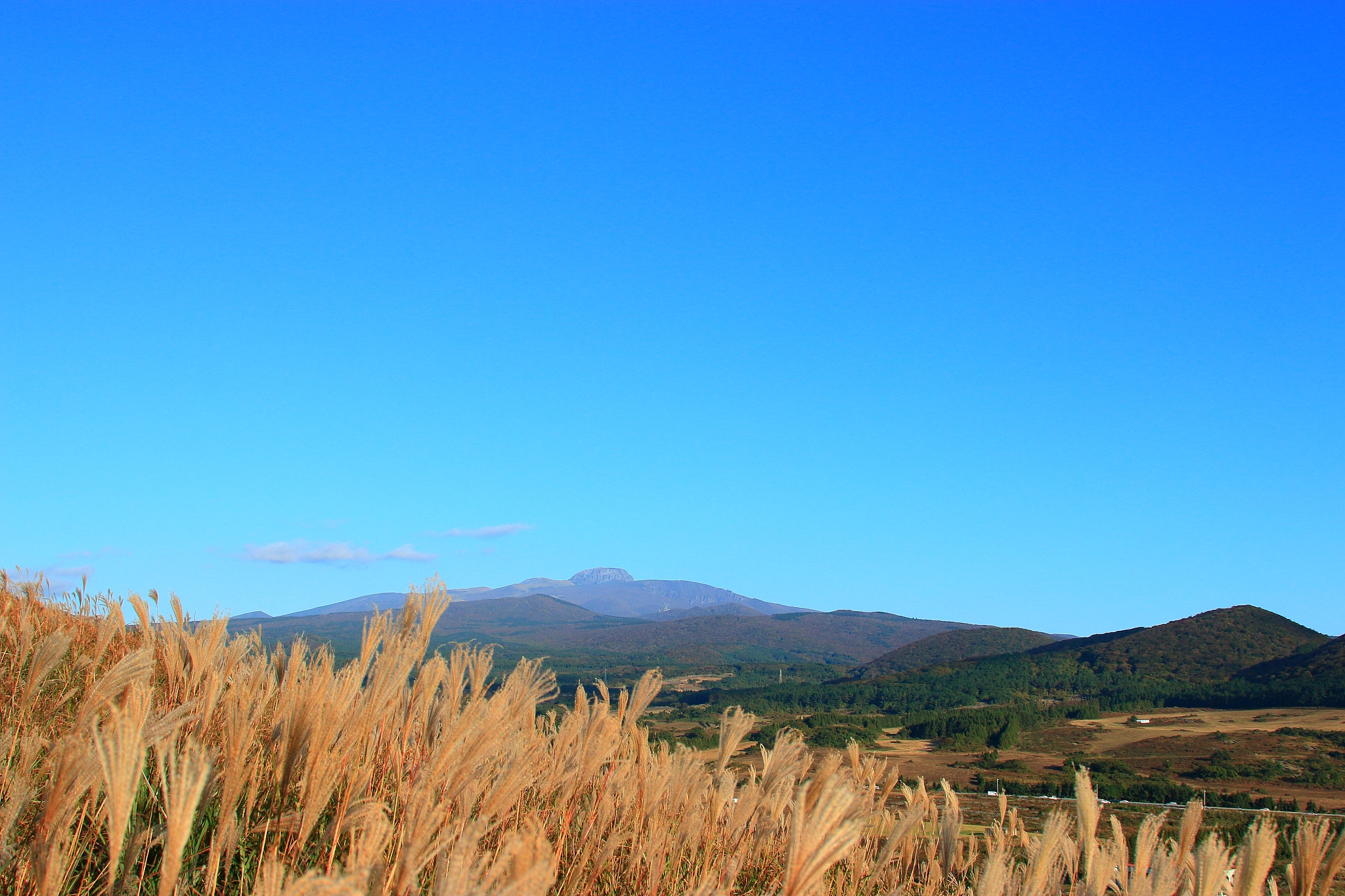 new star oreum, pampas, autumn, view,