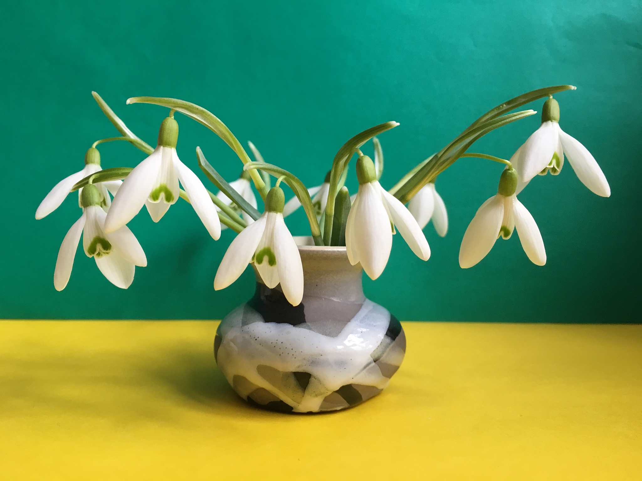photo of the bouquet of the first spring flowers  snowdrops  in 