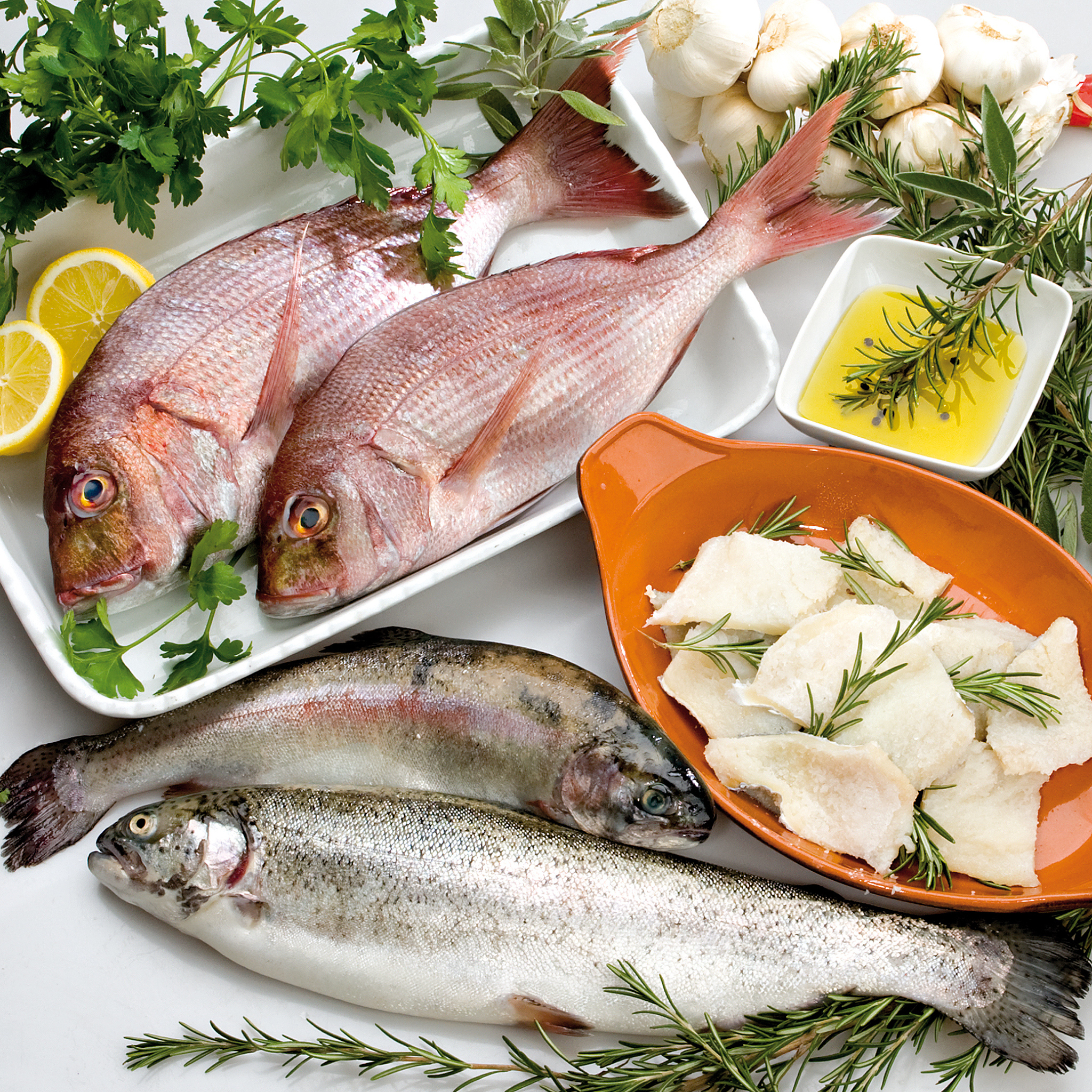 加州鲈鱼水花苗肝肠调理方法：酵母菌、乳酸菌和酵素菌