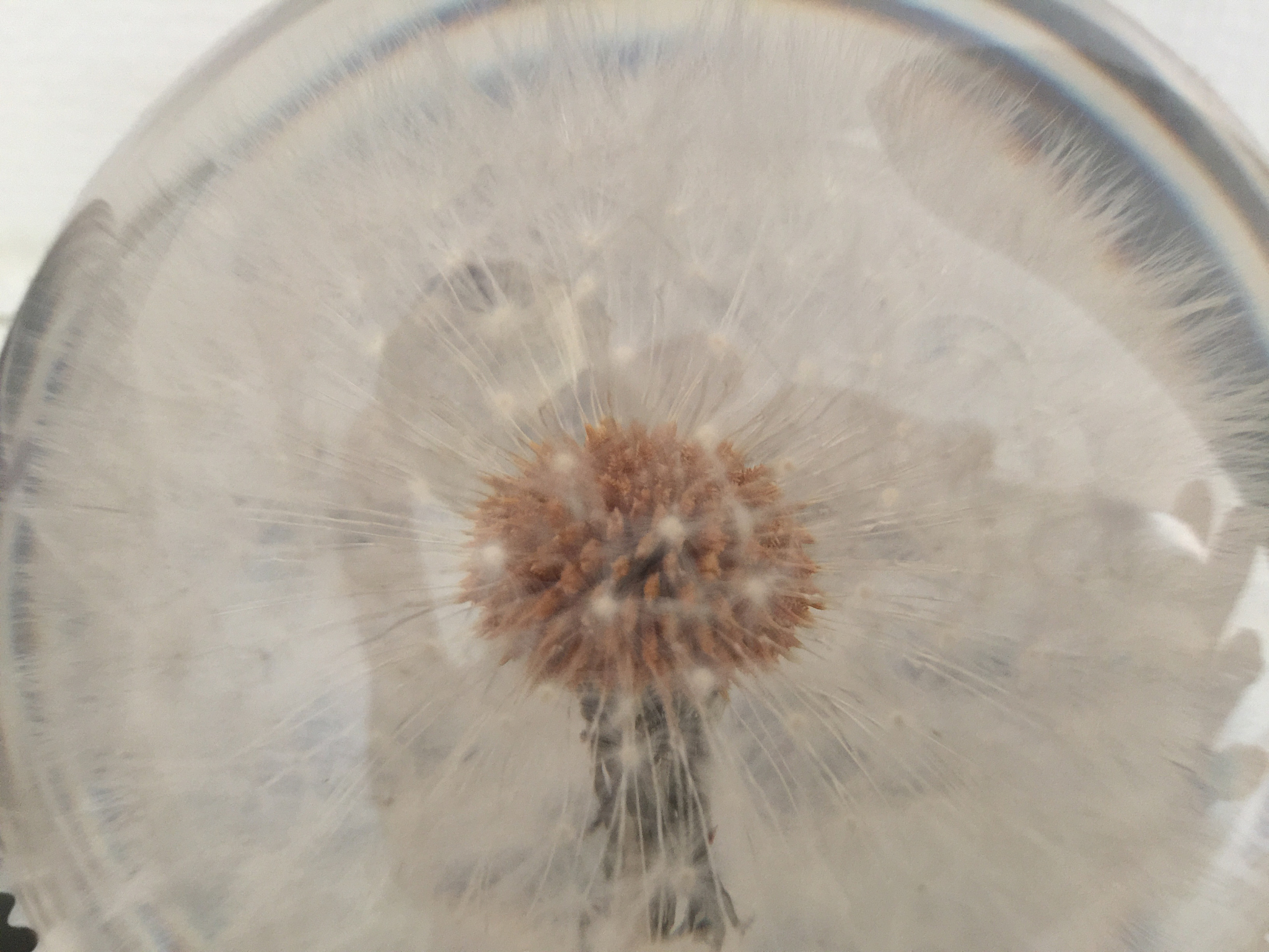 1200字关于摄影故事：如何通过照片讲述一个故事？