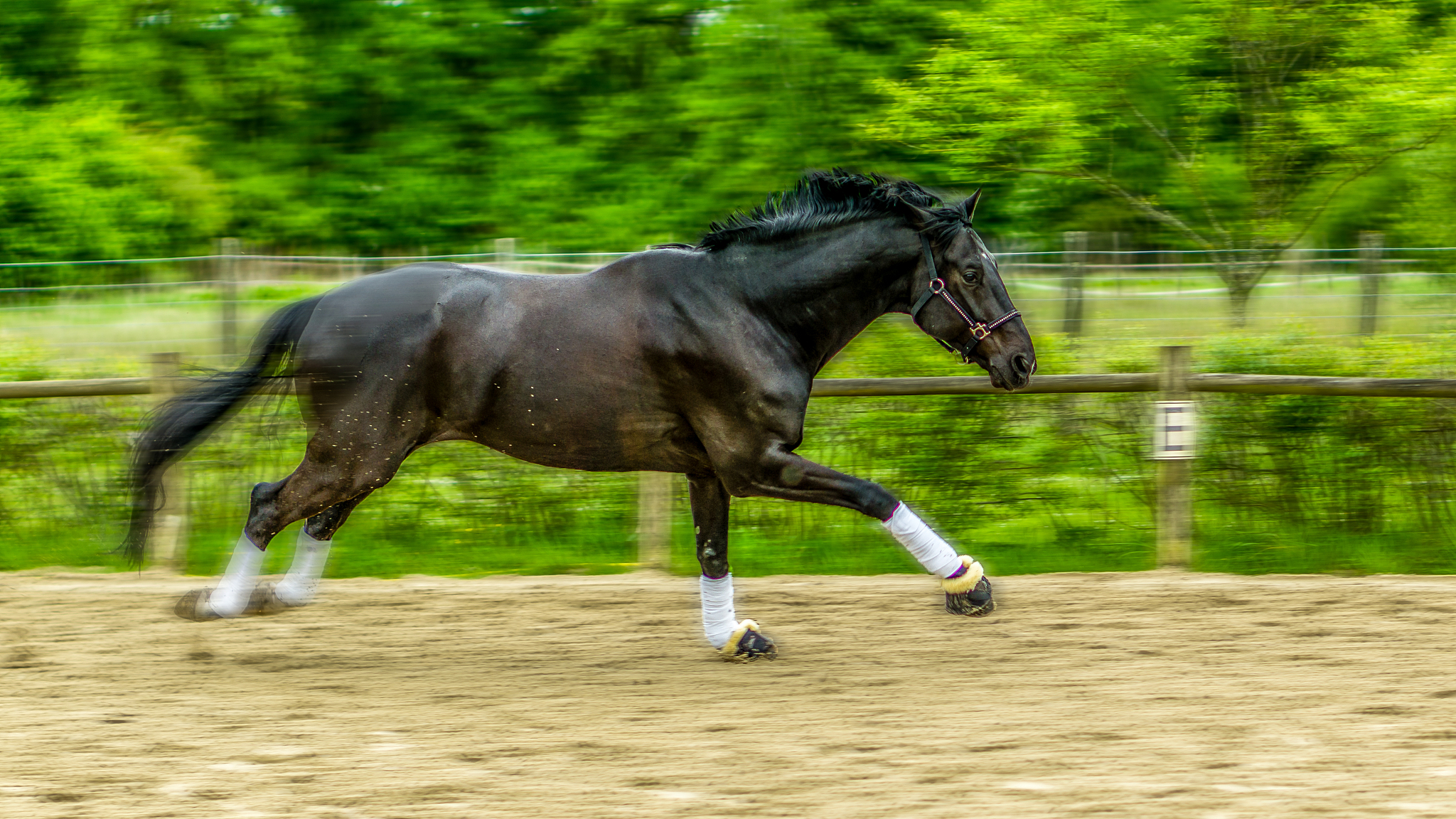 la course