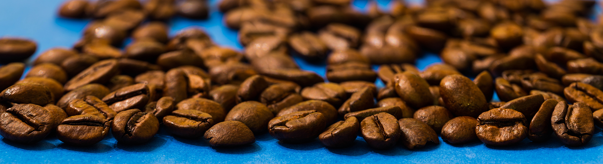 石河子大学种子科学与工程专业就业前景及未来发展方向