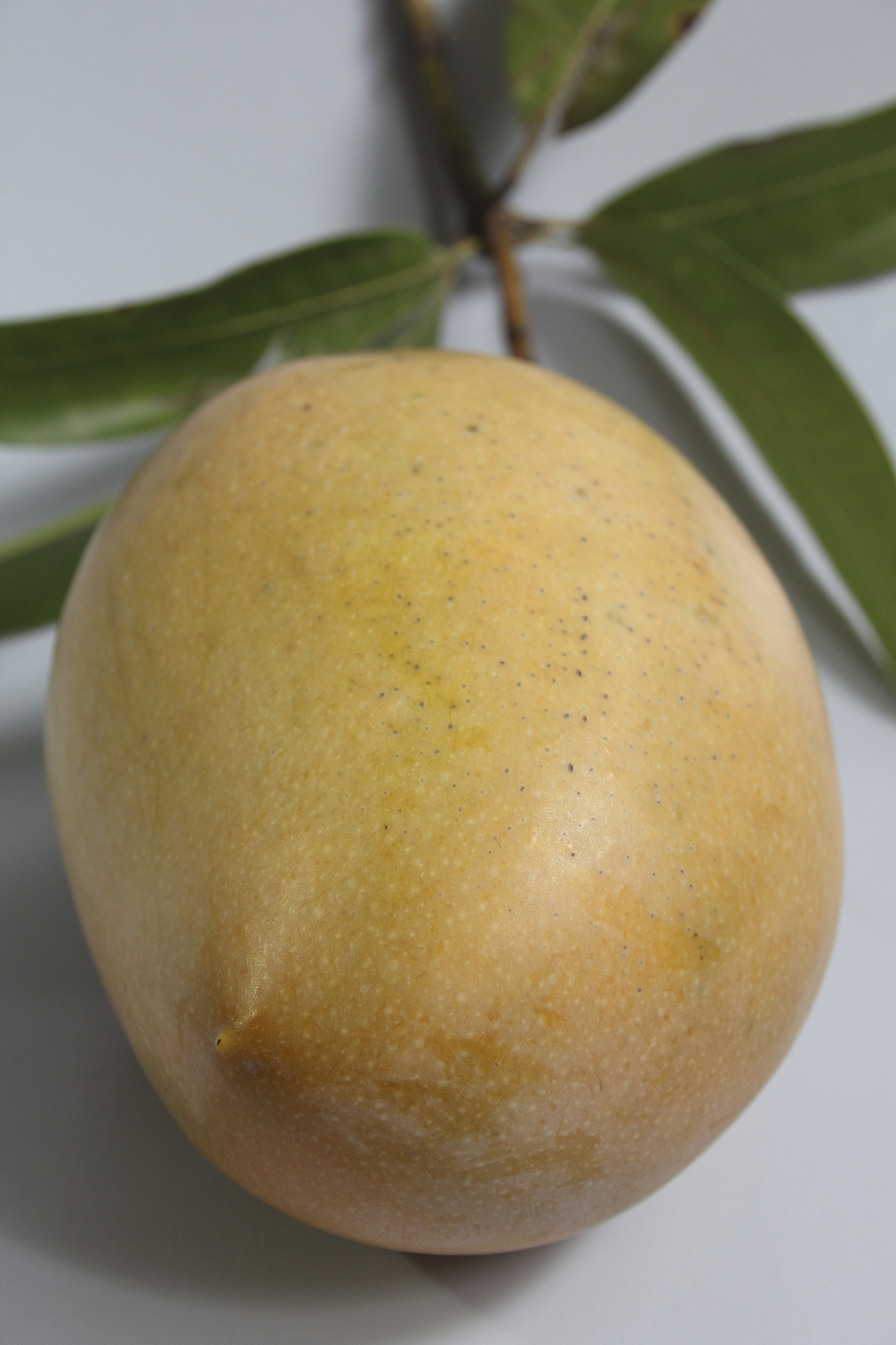 减肥可以吃芒果吗？热量高吗？营养价值与食用建议