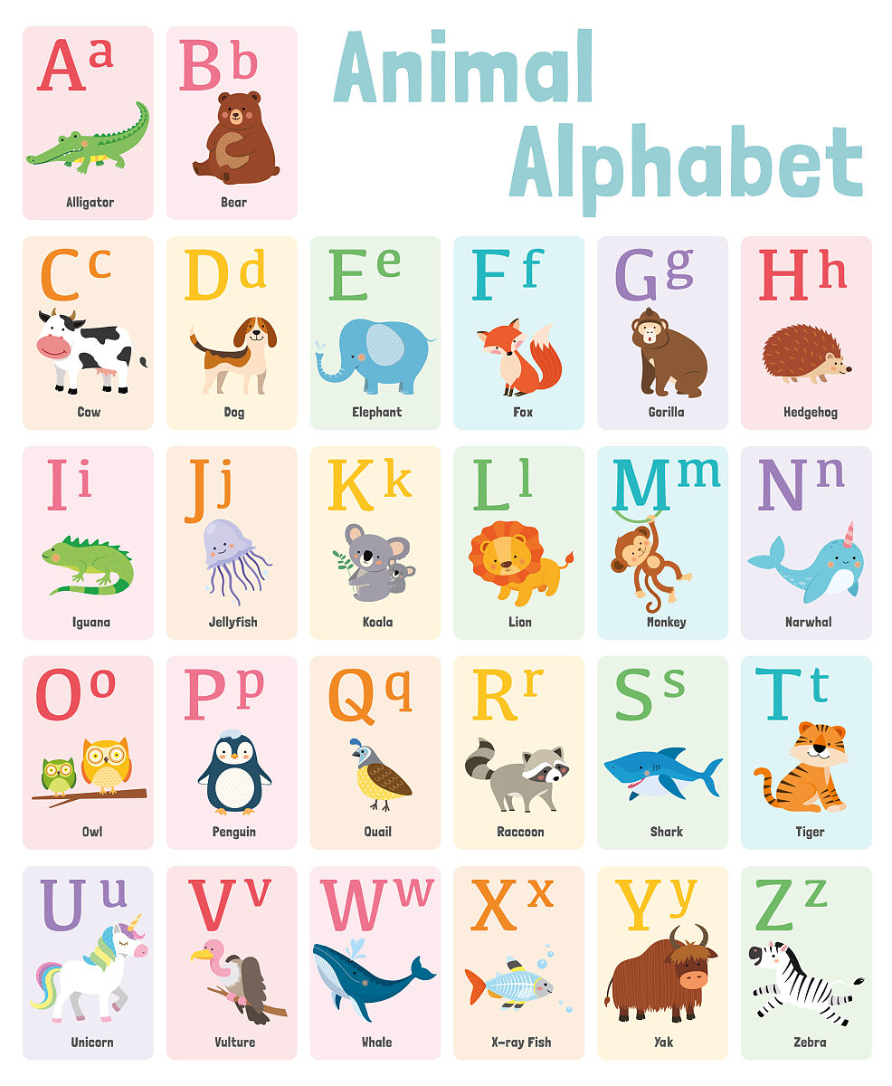 GXPVEZ 字母组合能组成哪些单词？