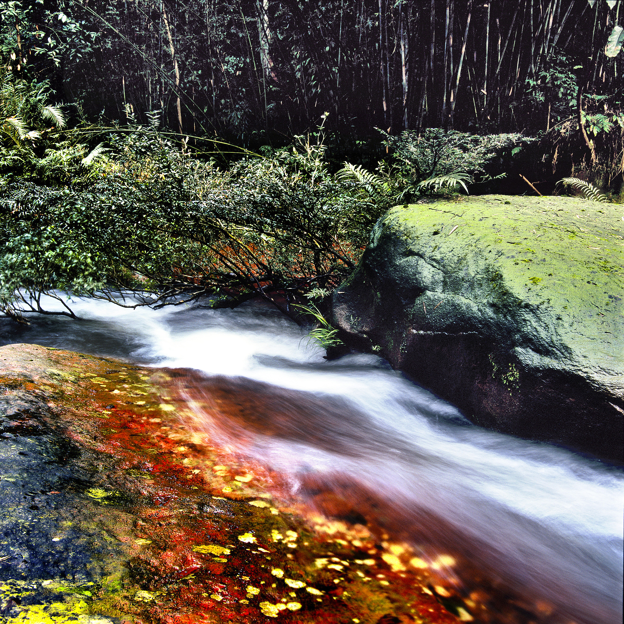 赤水县遇到困难怎么办？求助平台全知道！