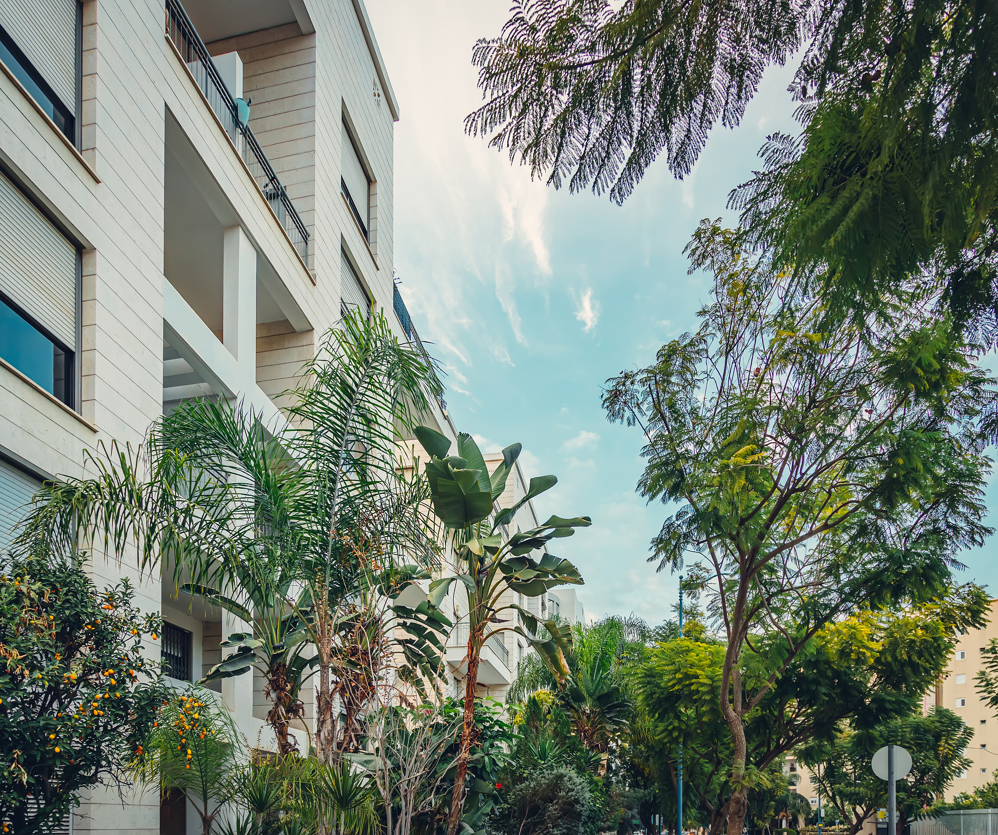 福建林业职业技术学院园林工程技术专业：就业前景、课程设置和职业发展