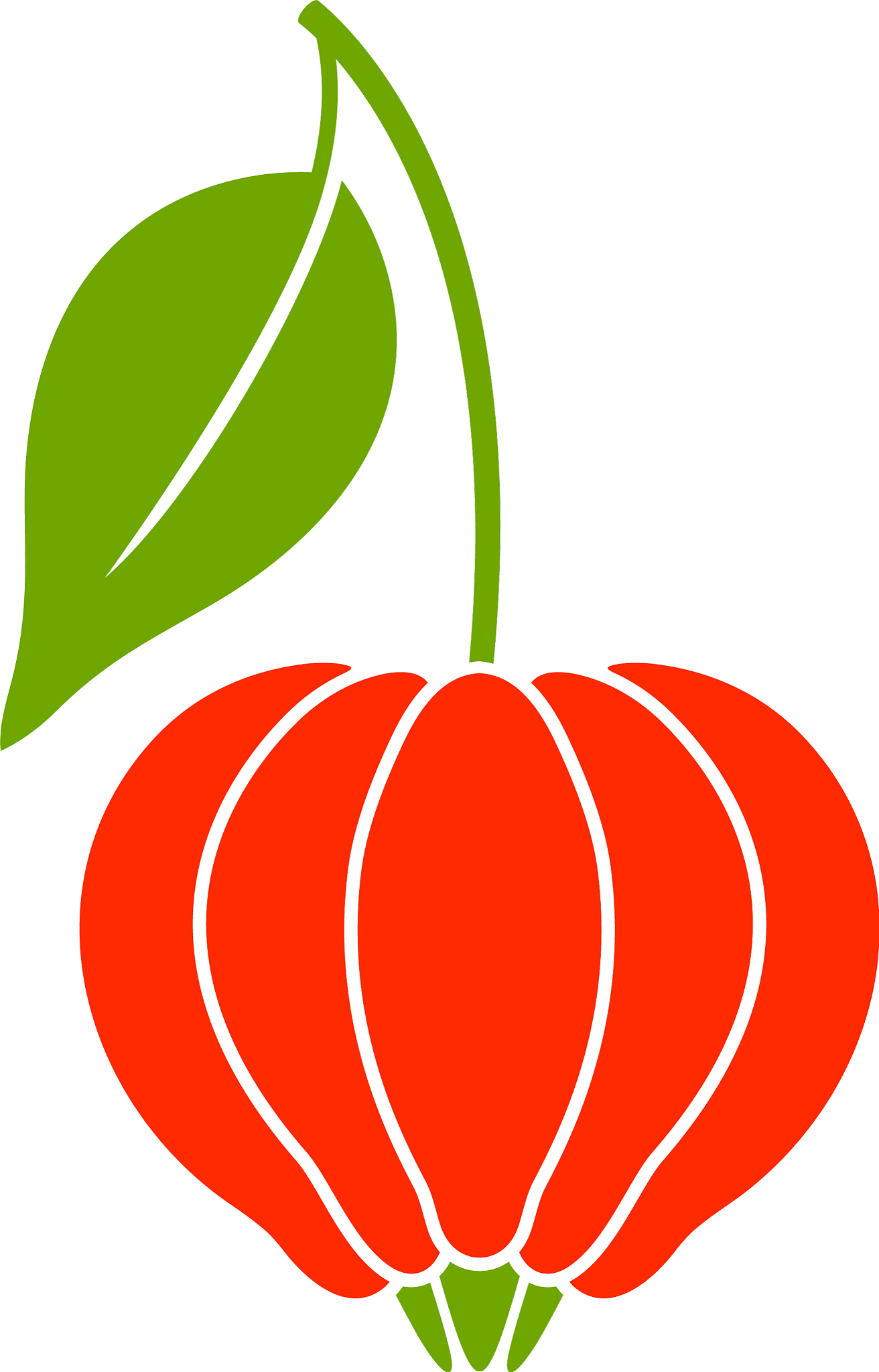 suriname cherry