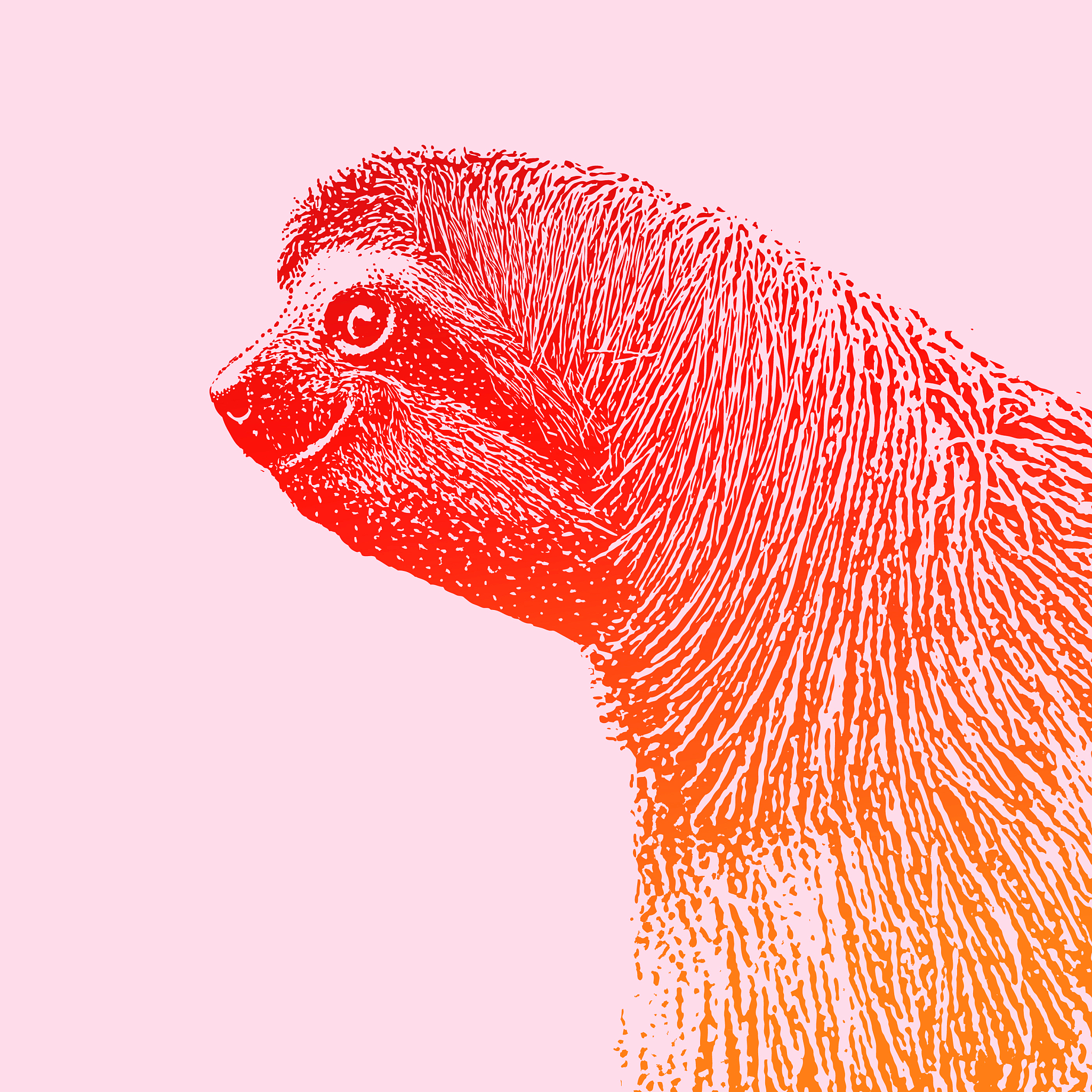 根据以下内容写出一条30字的短视频原创标题：树懒是一只既懒又慢的小可爱。 1