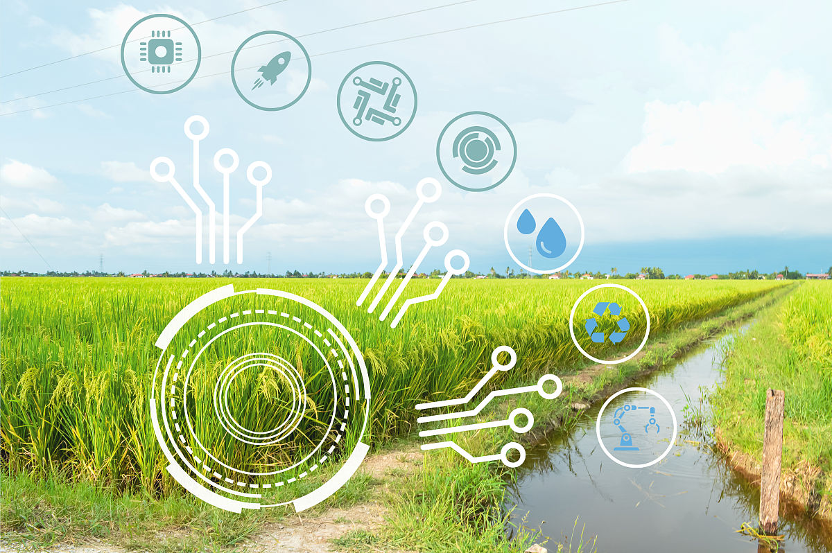 使用绿色金融工具申请专项资金