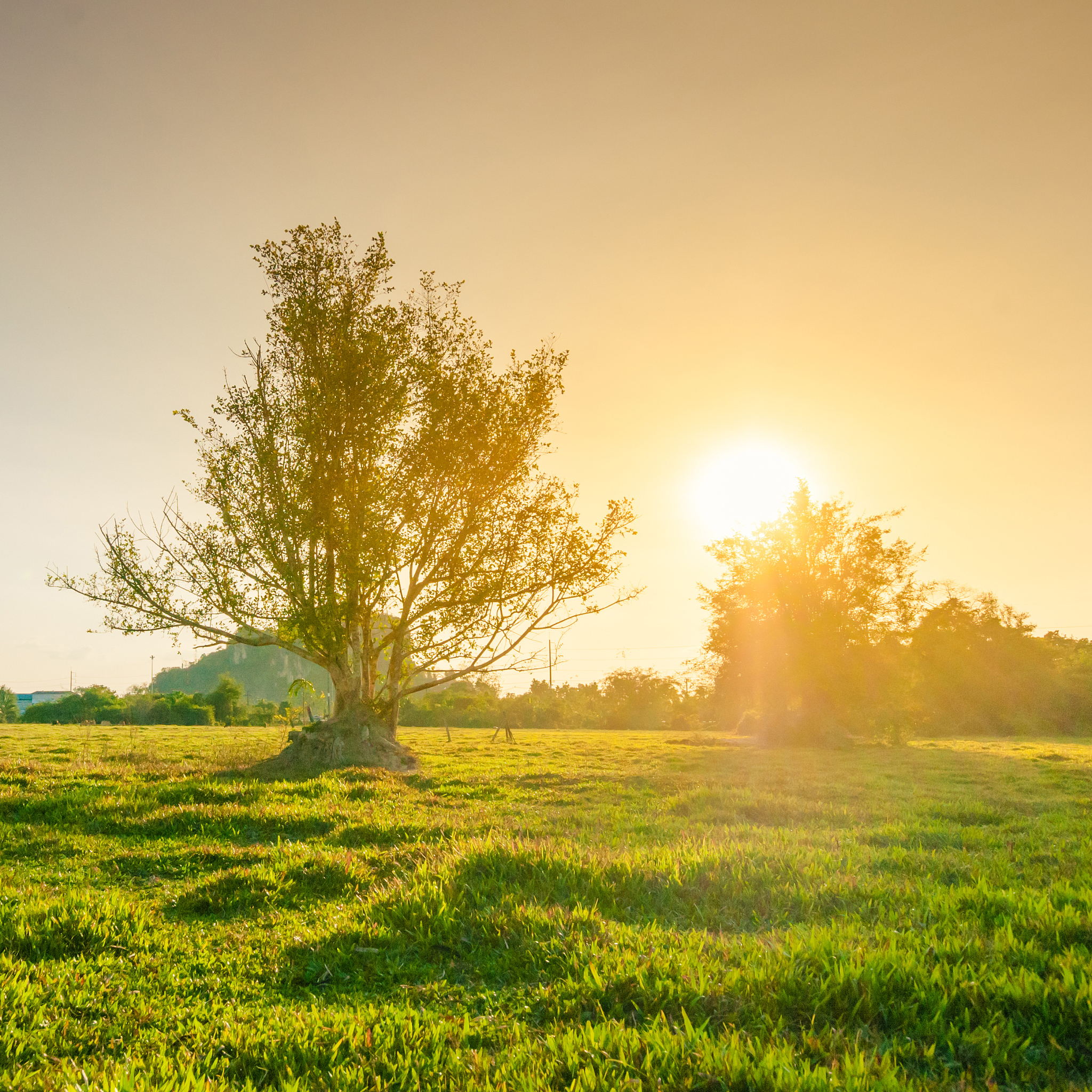 以你的语言帮我写篇QQ动态最好能简洁一点让人眼前一新