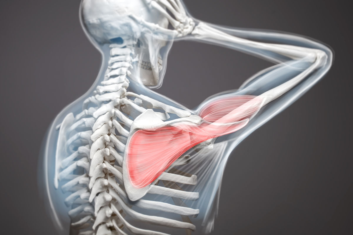 冻结肩：症状、分类、诊断和治疗